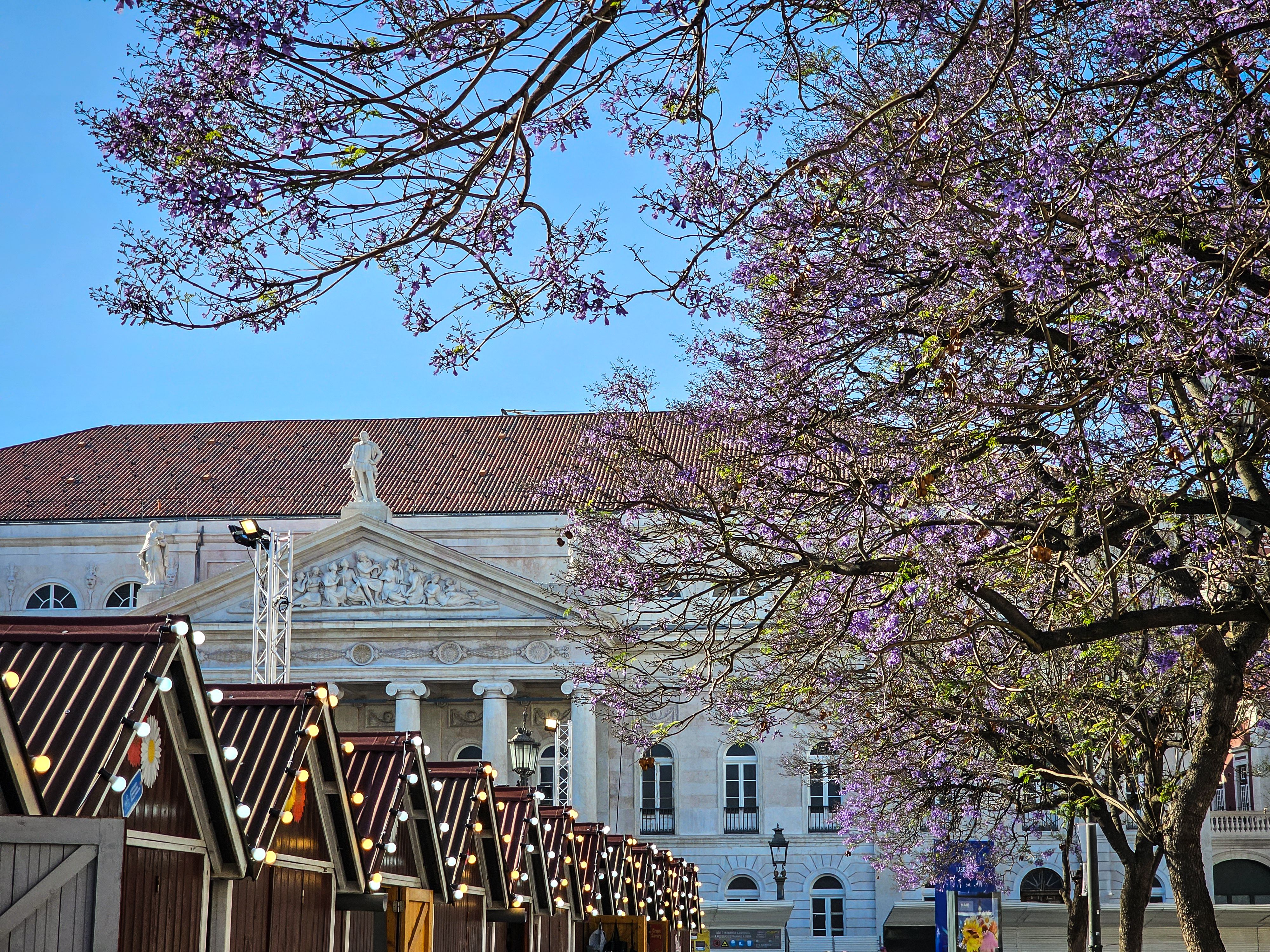 lisbon outdoor wedding