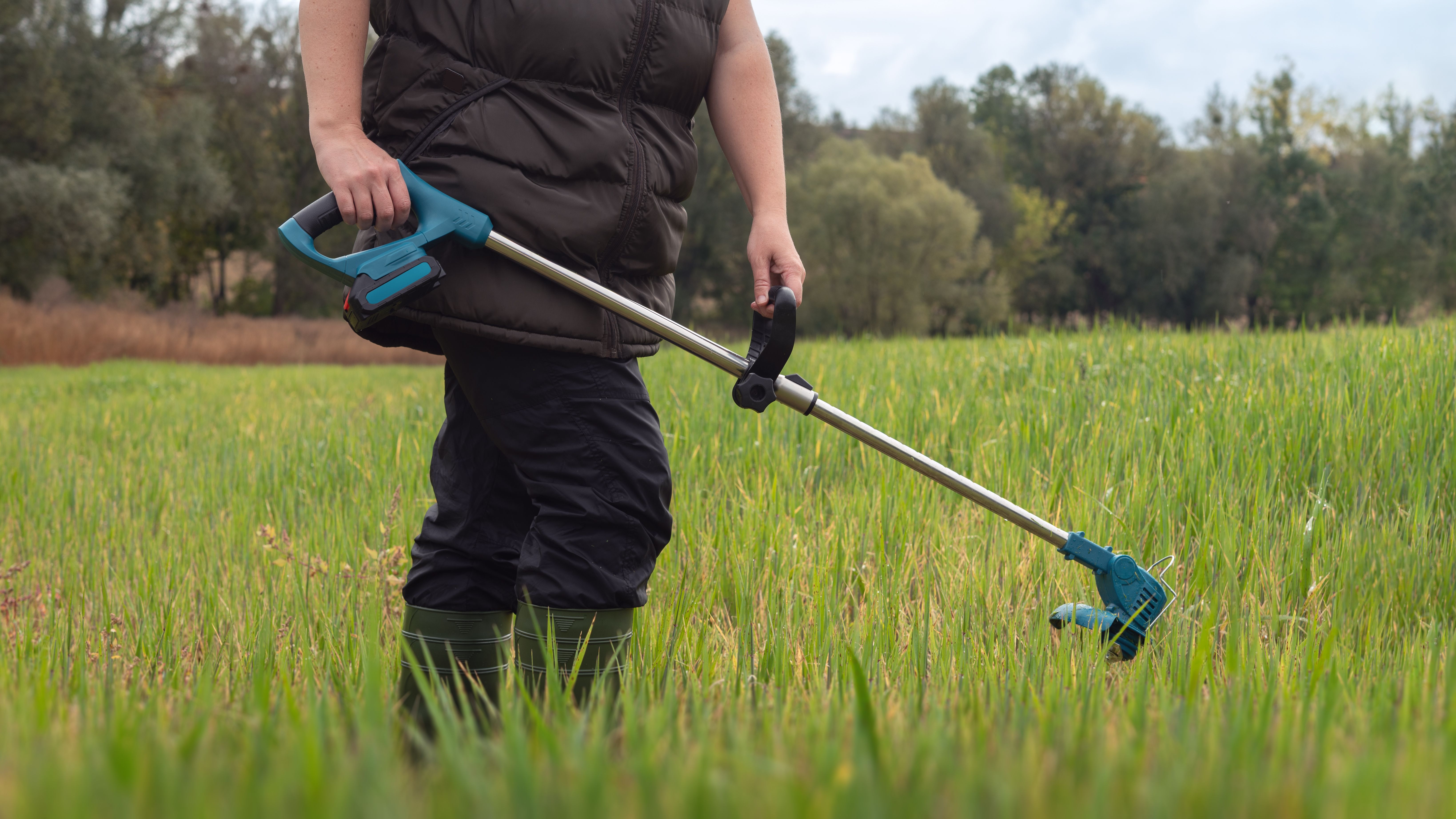 sustainable lawn care