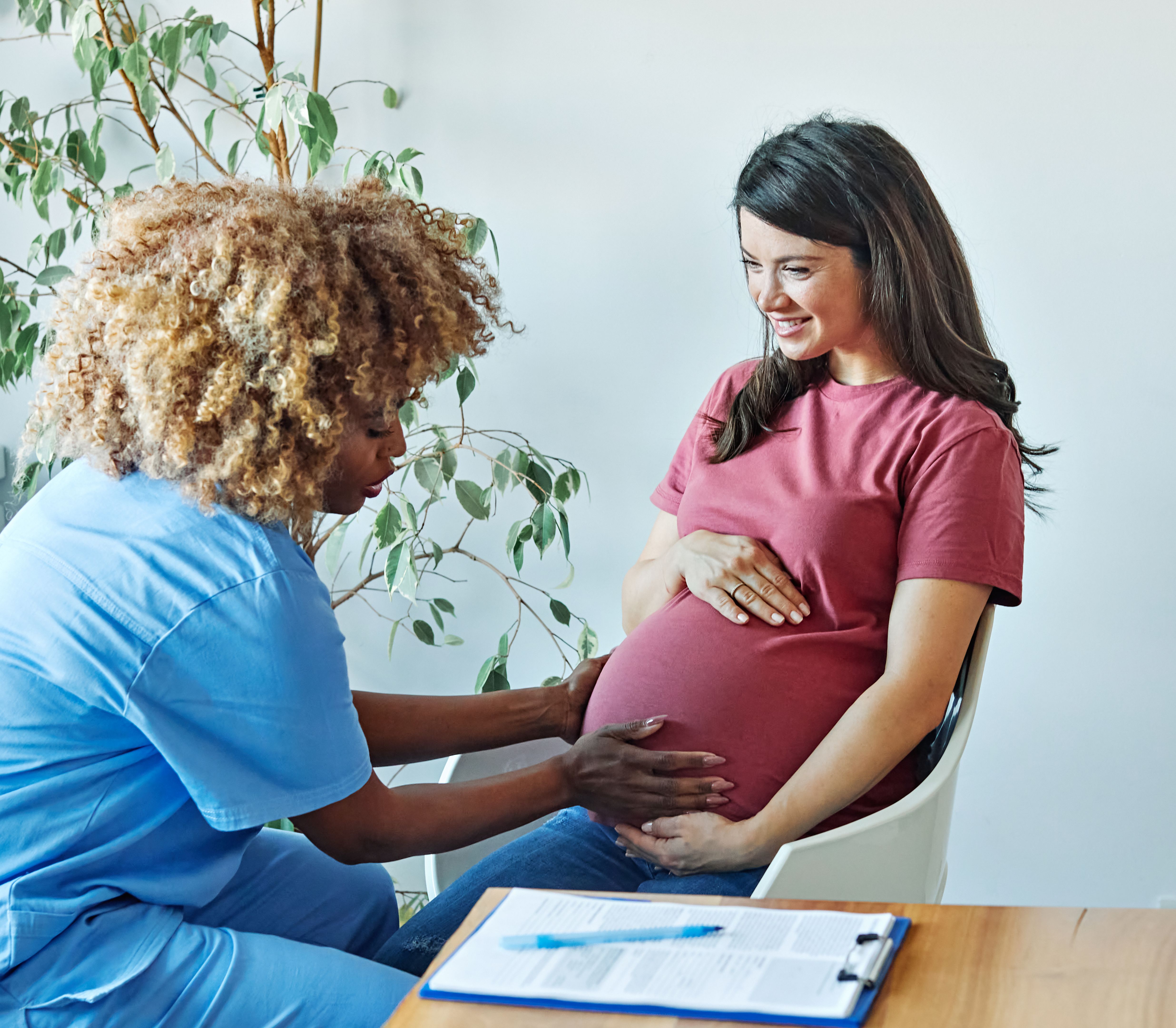 maternity consultation