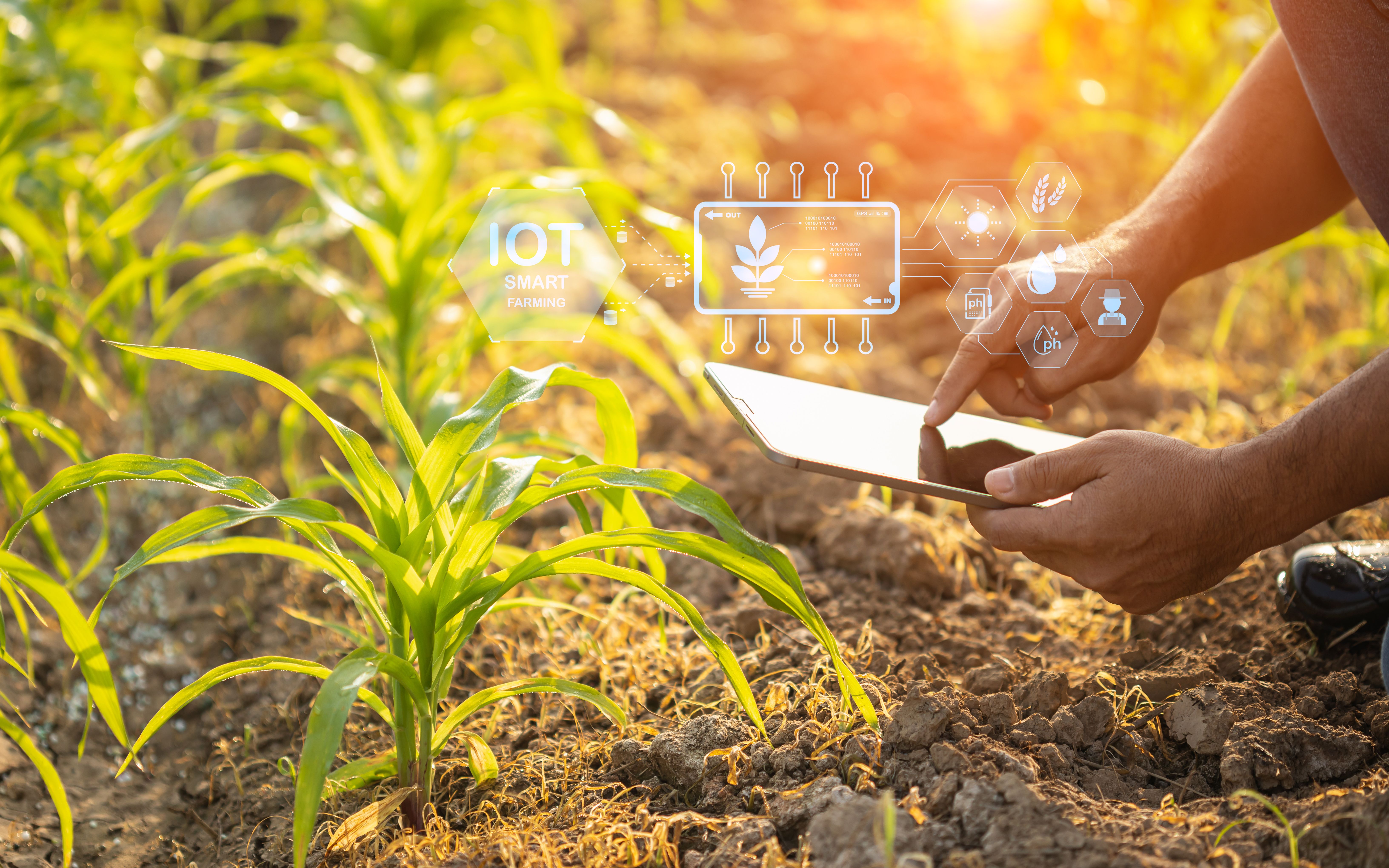 agriculture iot