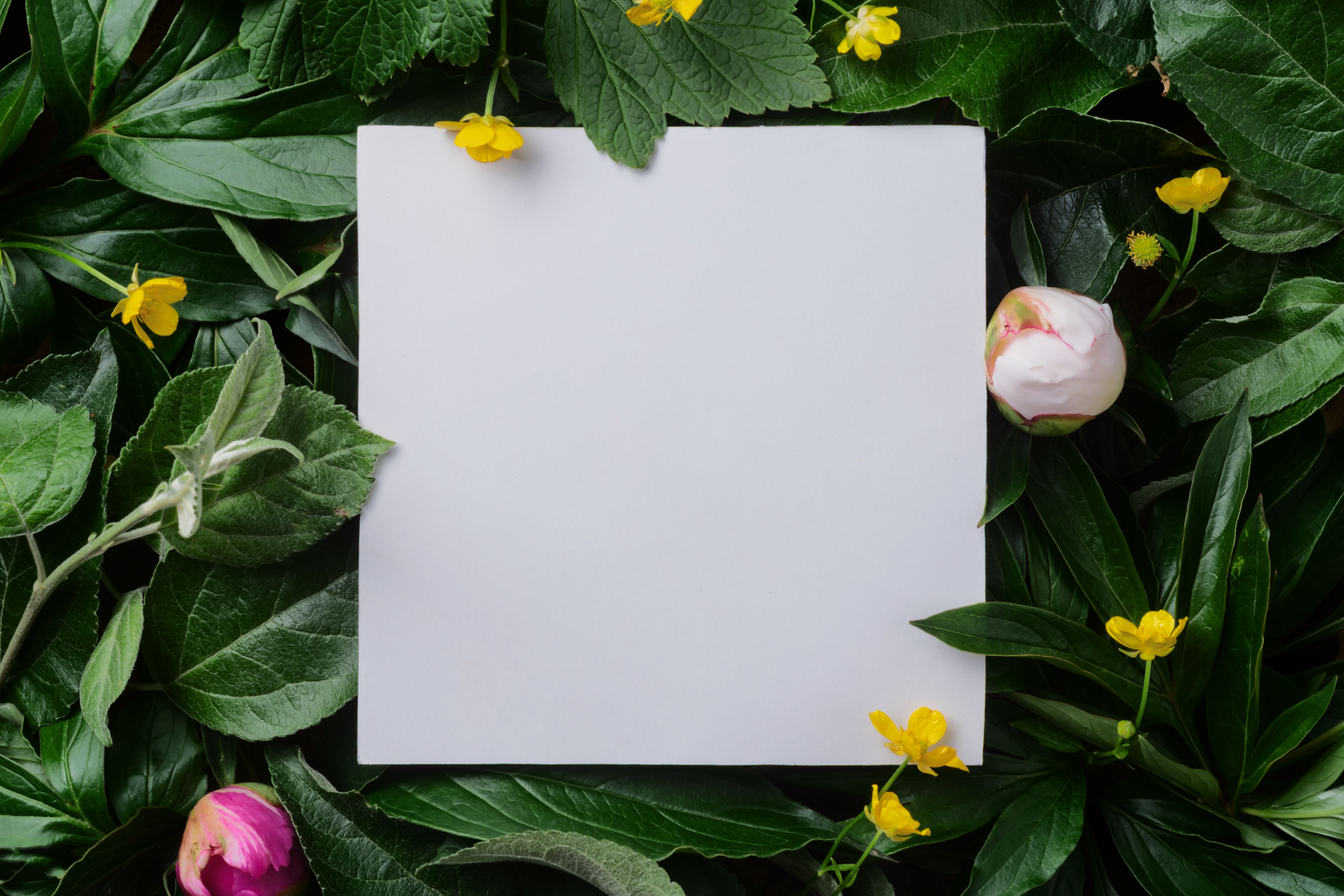 eco-friendly wedding