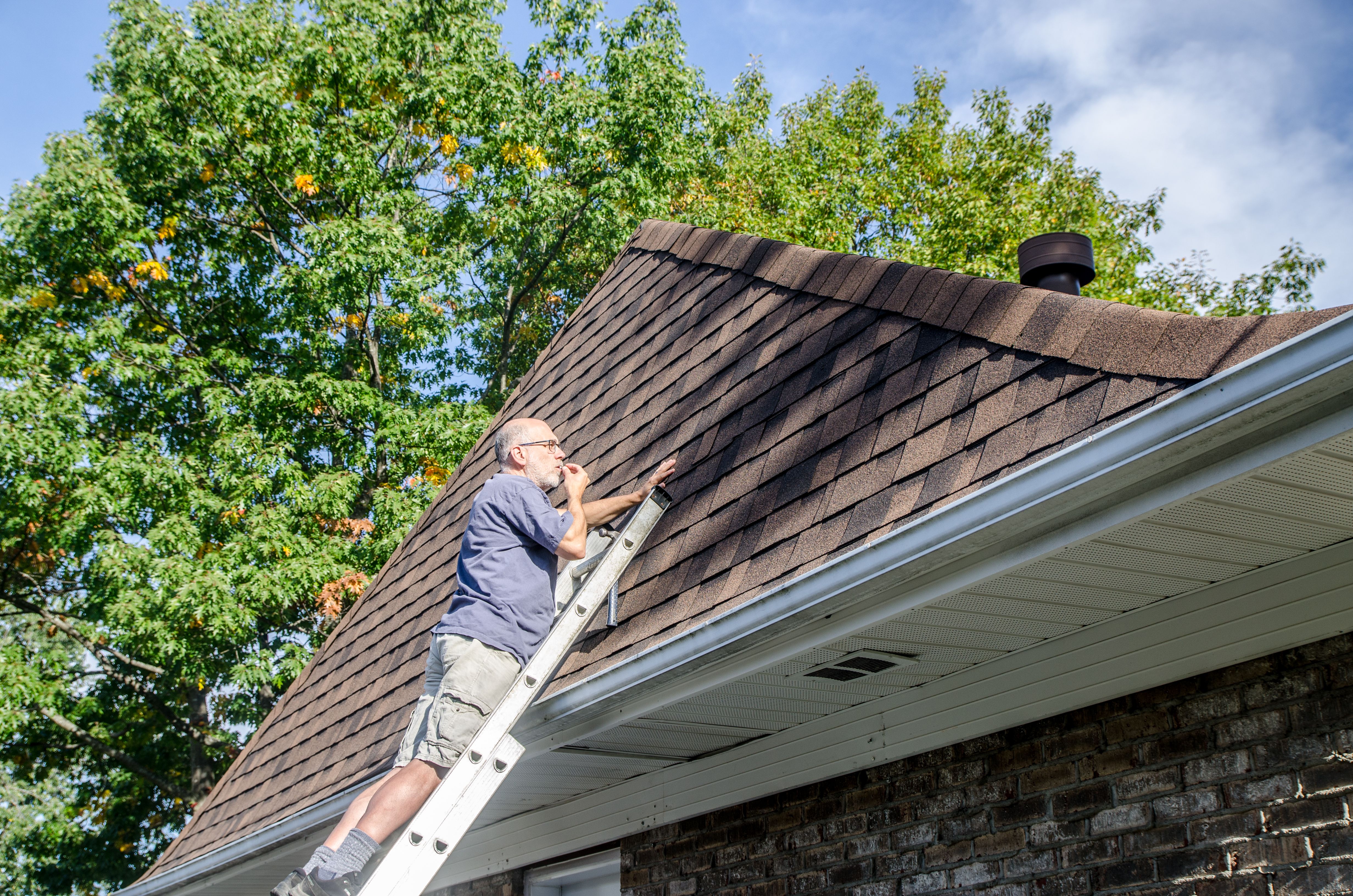 diy roof