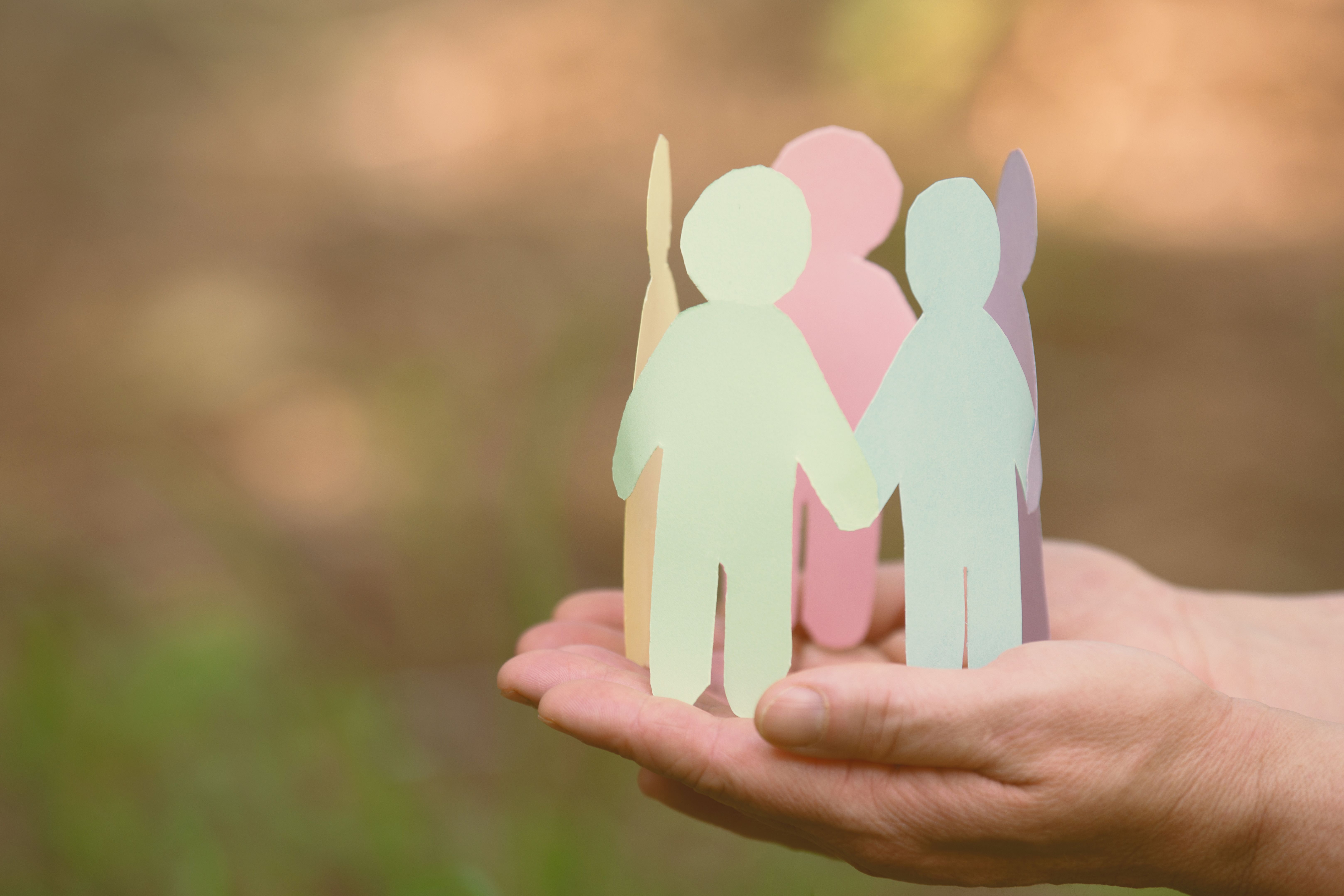 mentor refugee