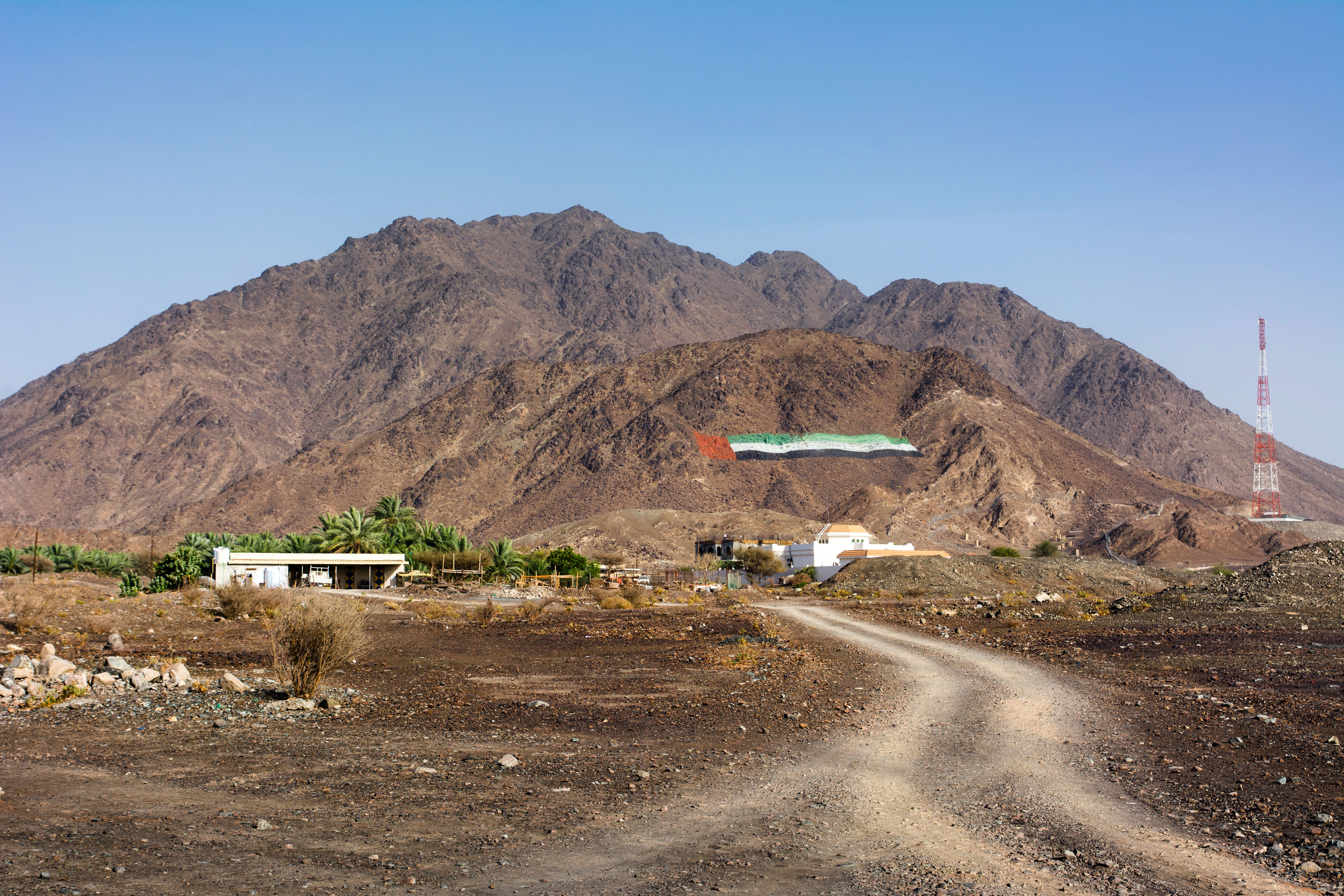 UAE flag on a sandstone rock