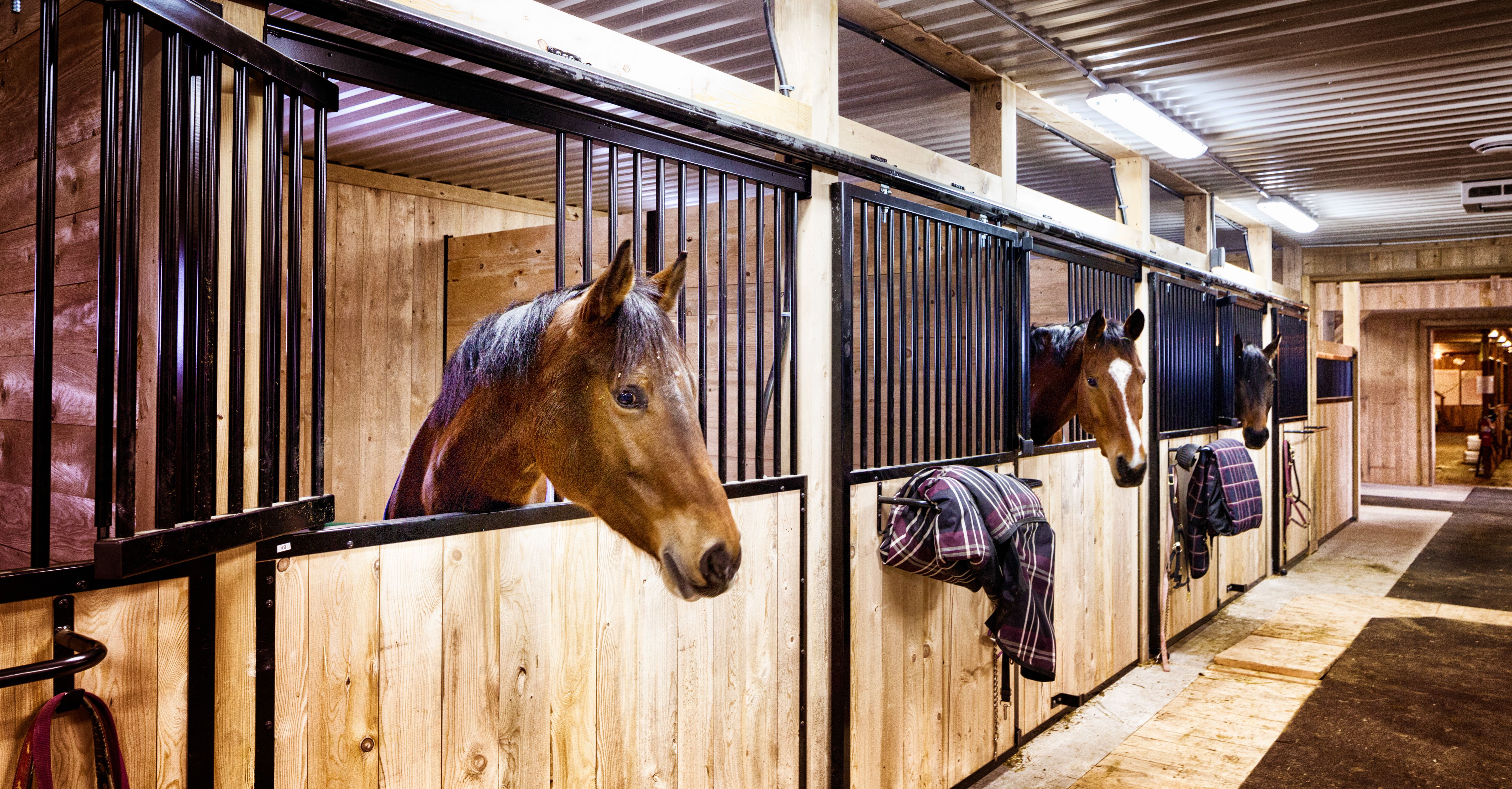 equestrian facility