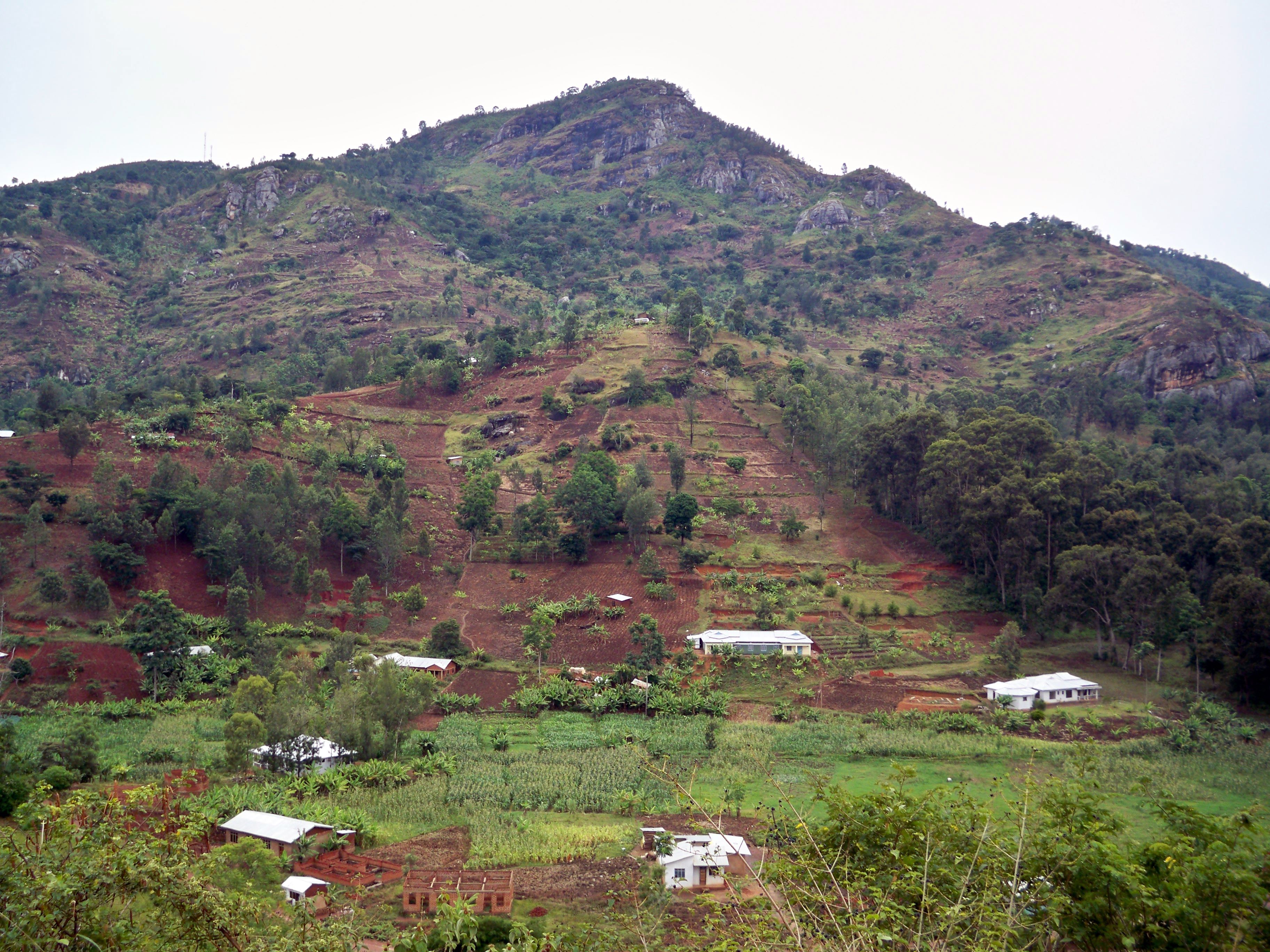 usambara mountains
