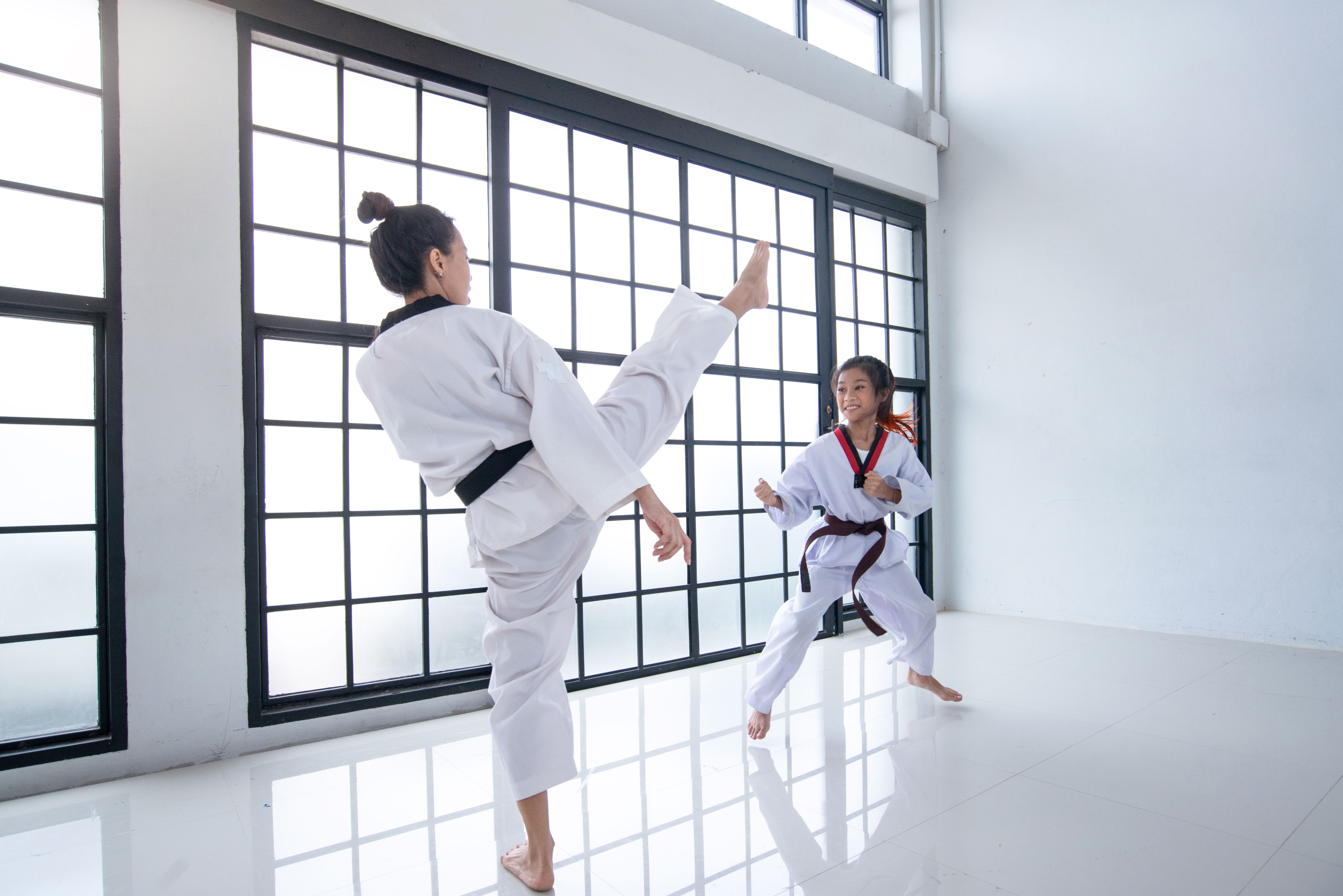 taekwondo defense