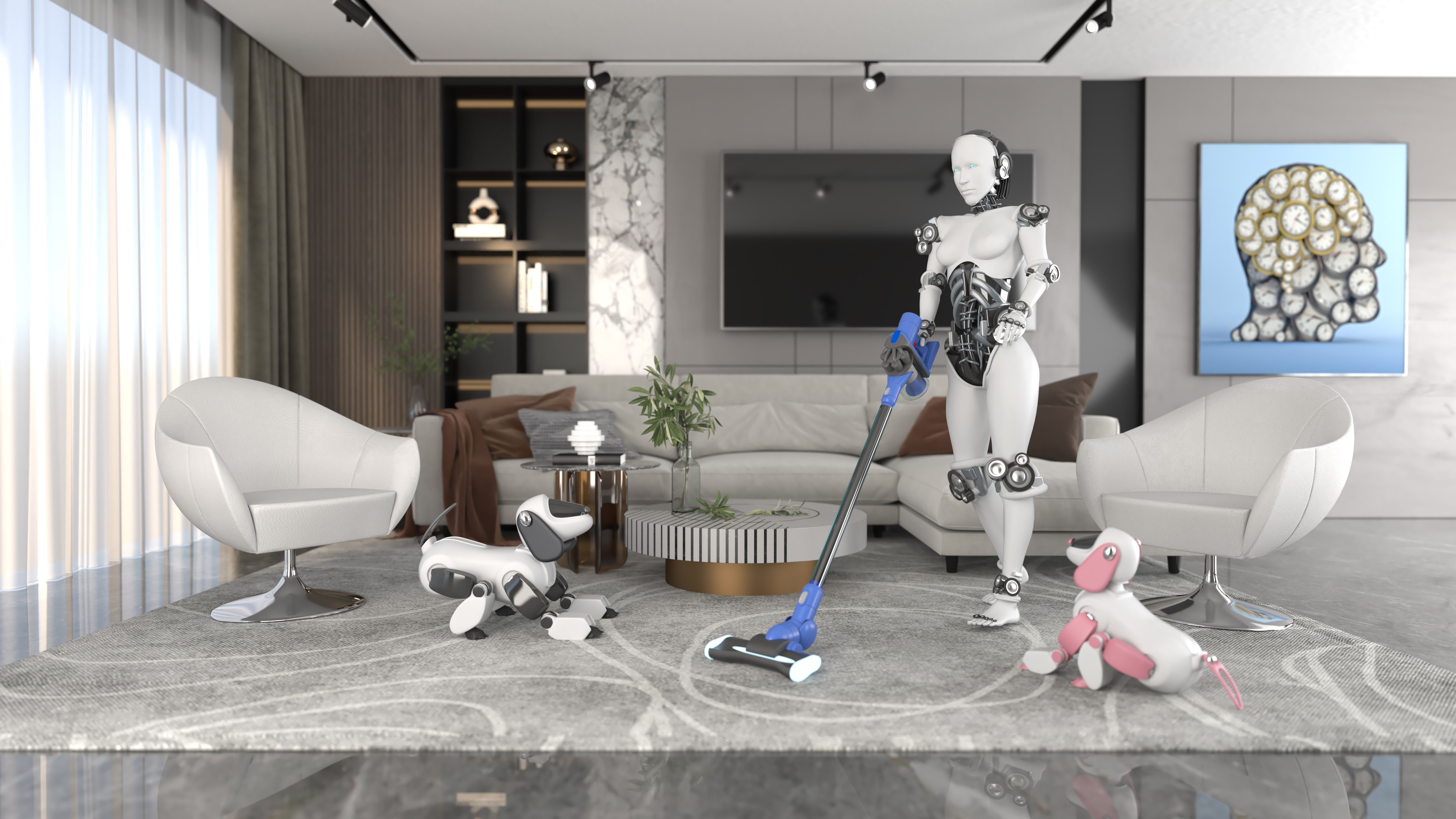robot service