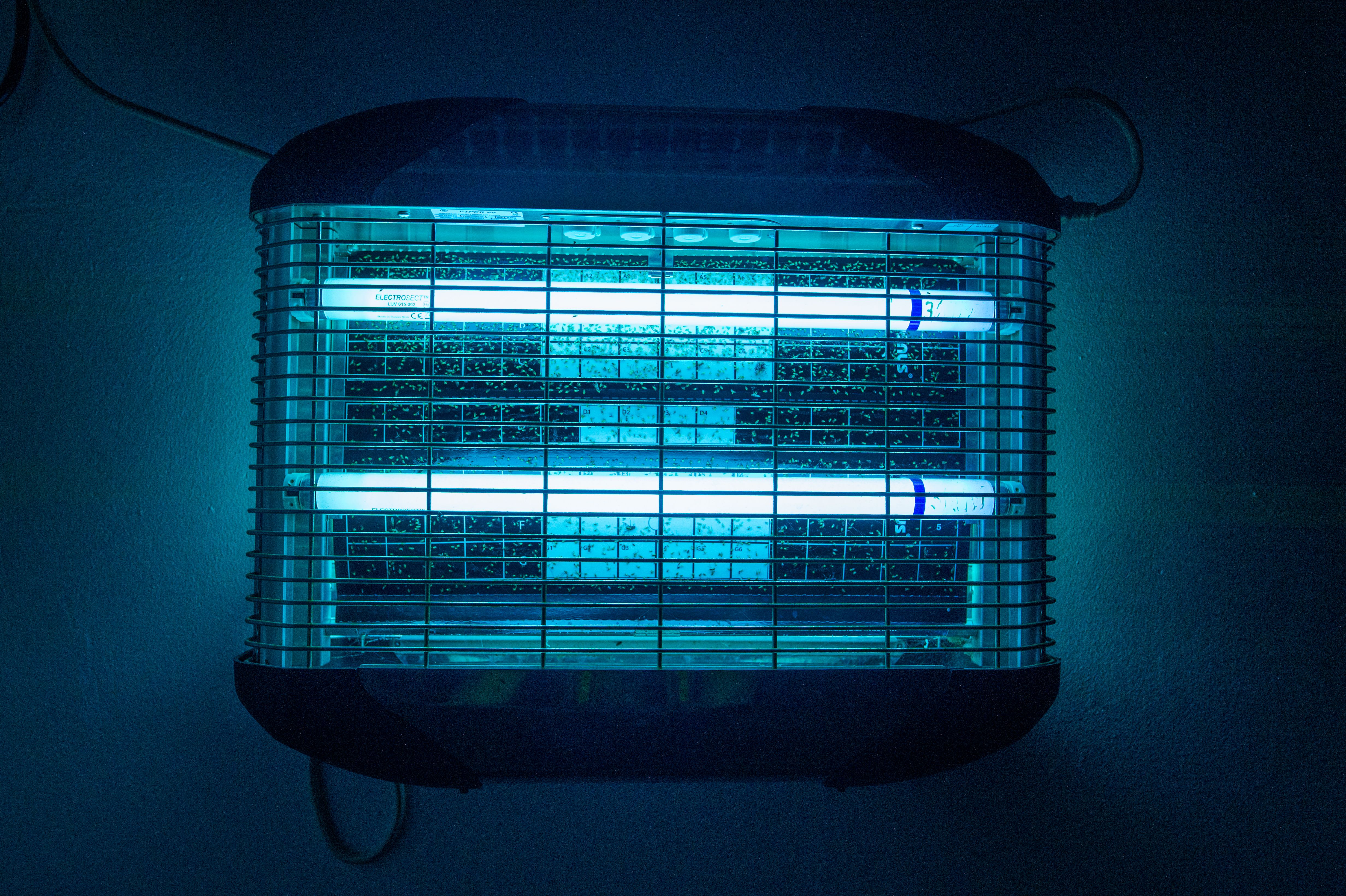 uv lamp