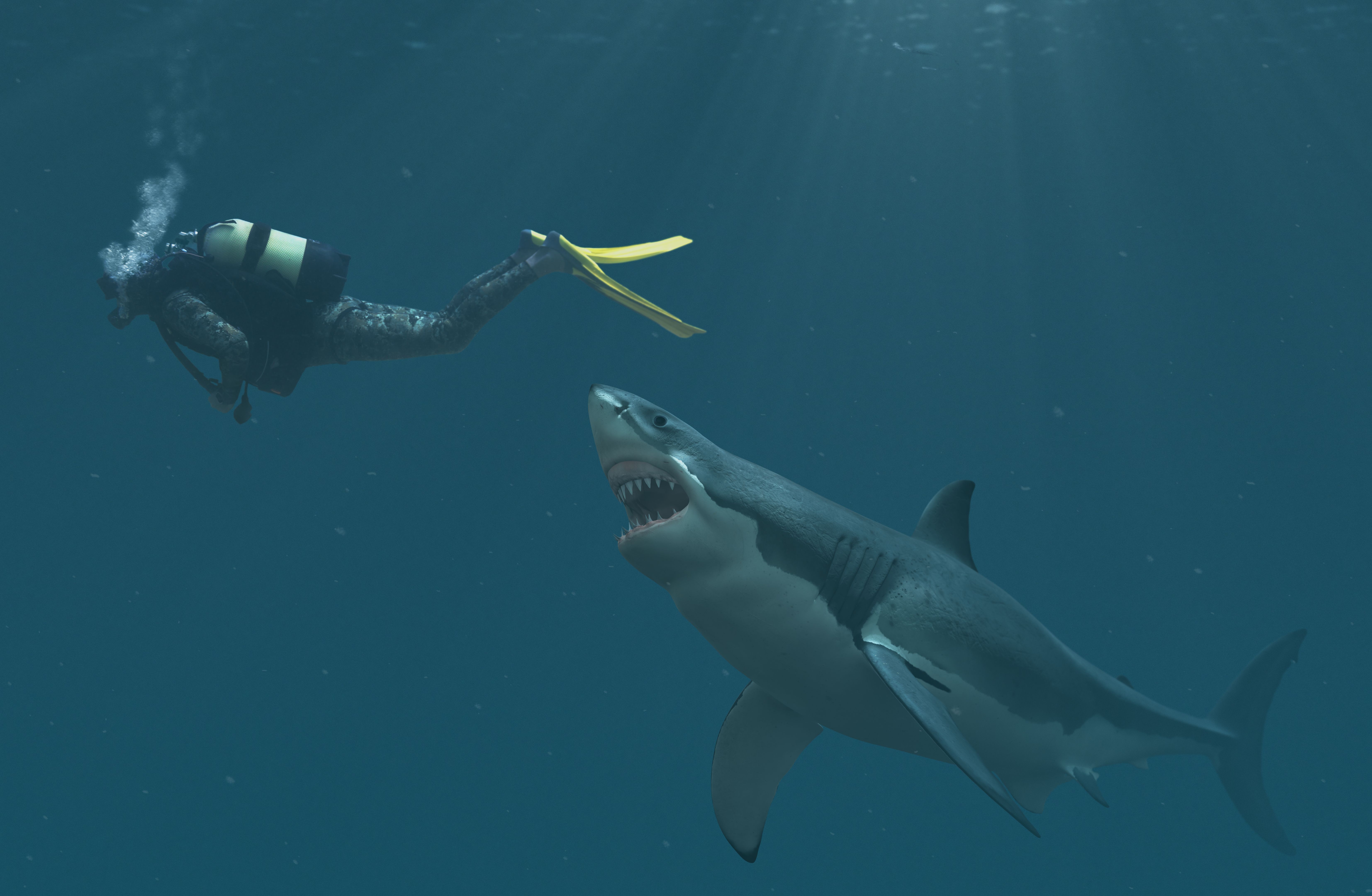 great white shark diving