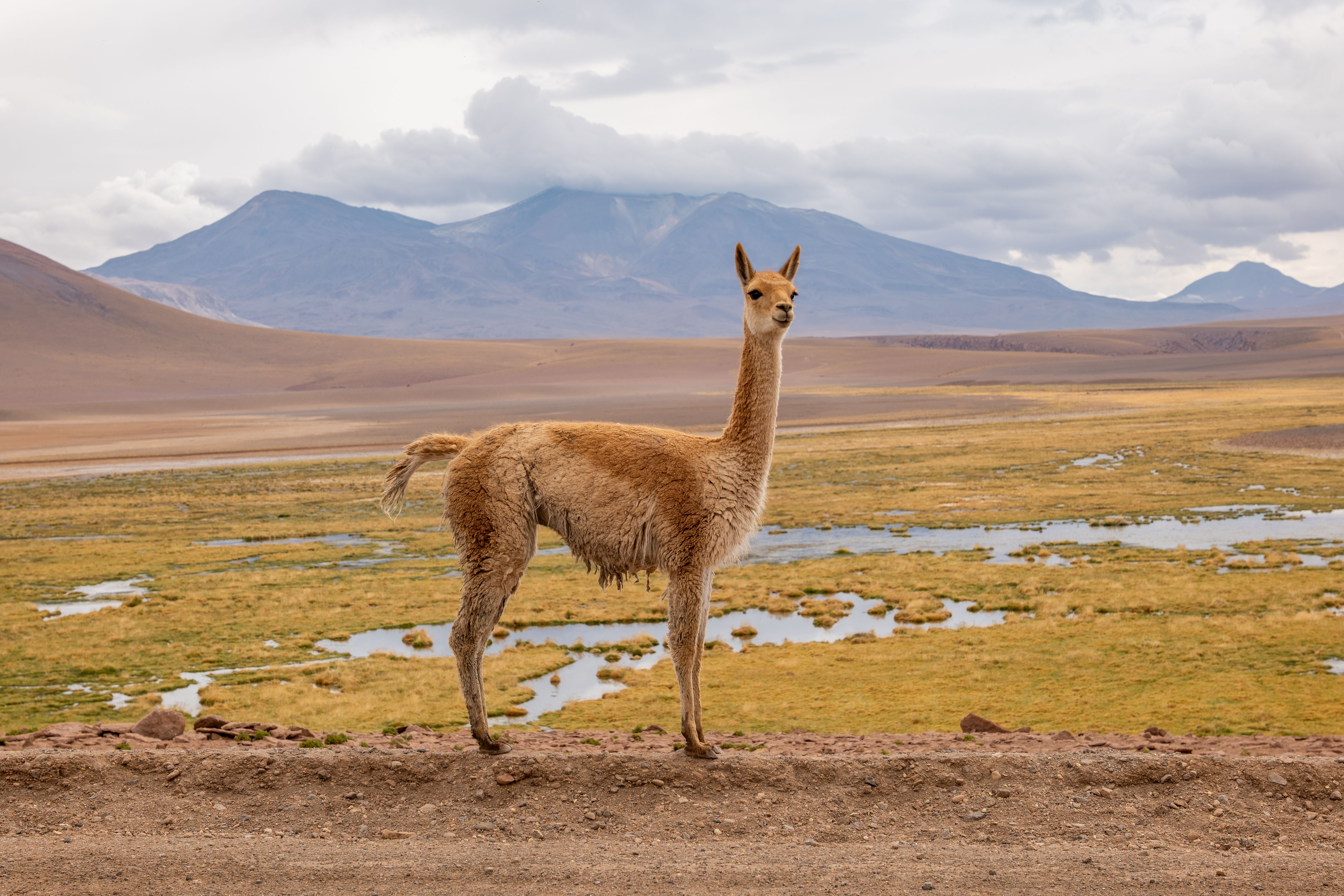 south america landscape