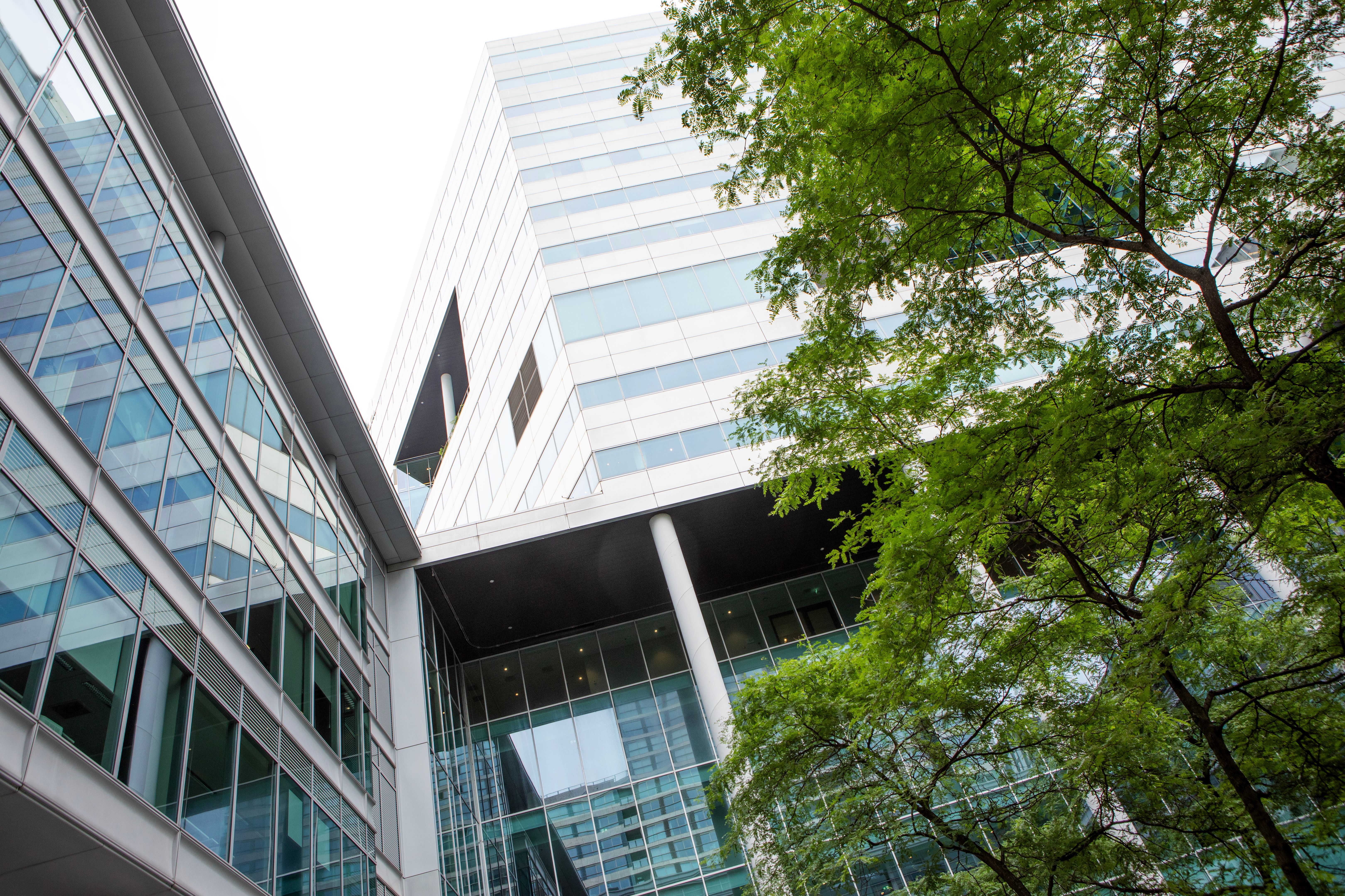 Modern Green Building on a sunny day Modern Green Building on a sunny day