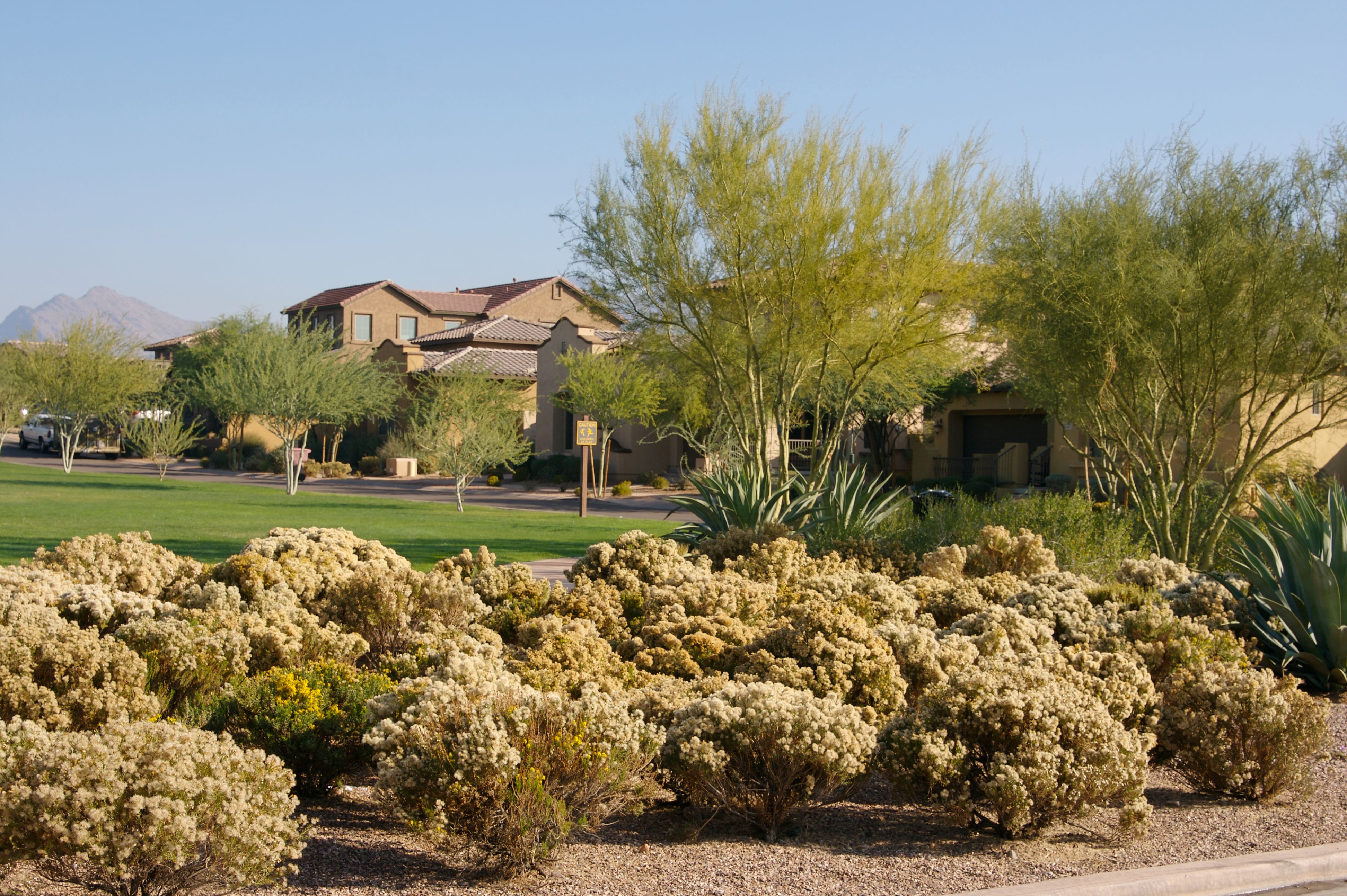 Scottsdale Homes — TSPEBi-Annual Pest Inspections keeping homes pristine