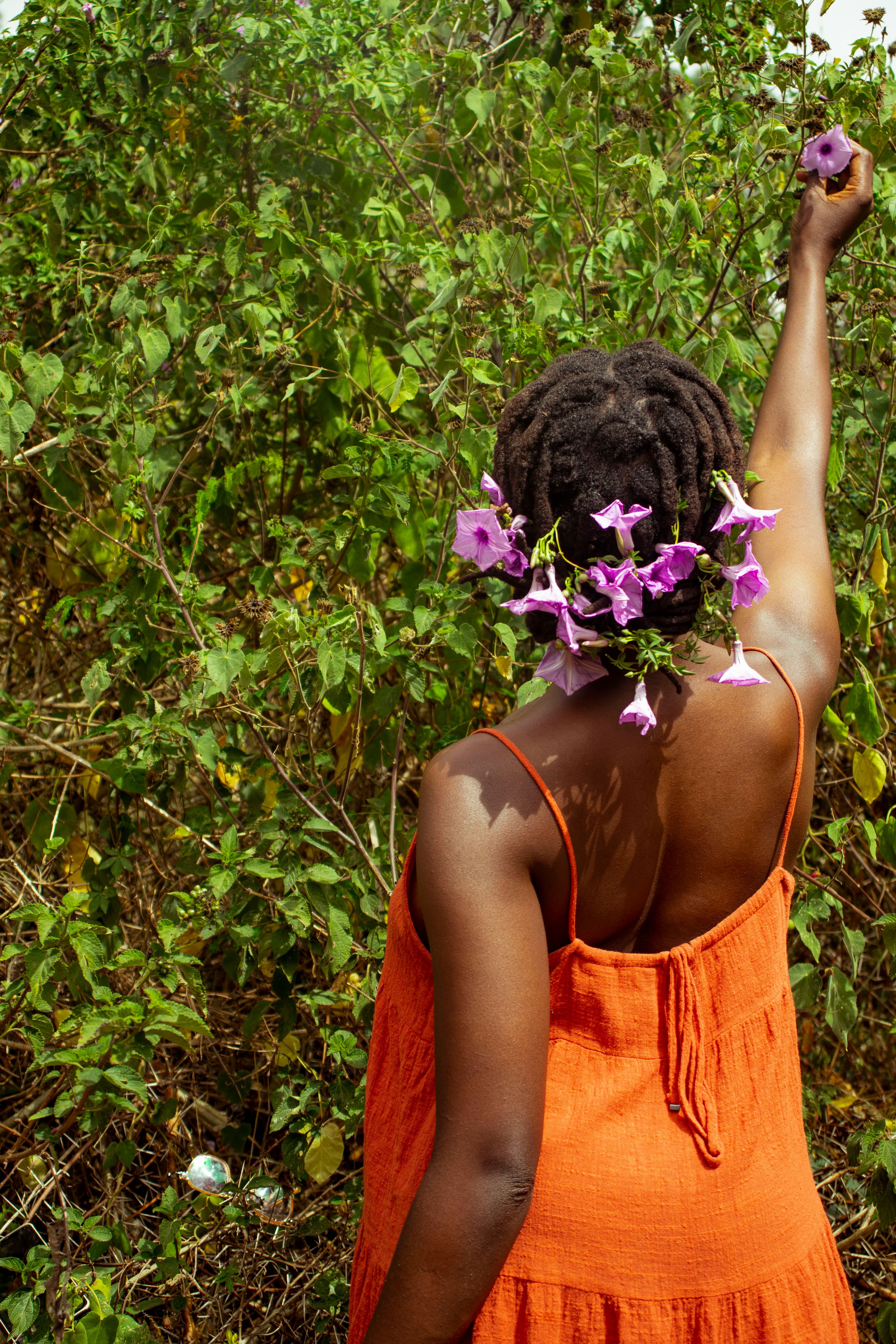 Maroon Herbal Resistance: More Than Maroon Herbal Resistance: More Than