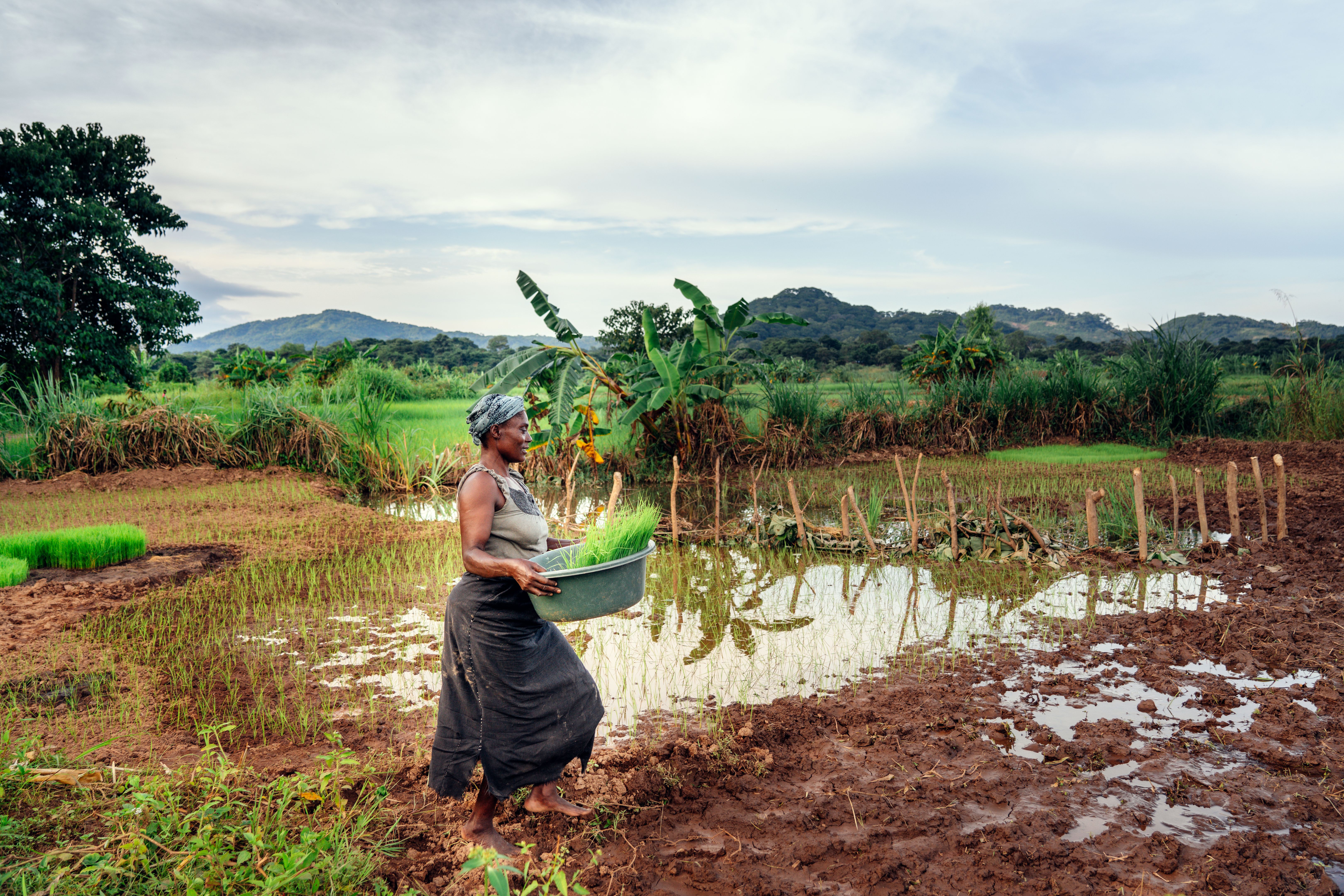 traditional farming Malawi