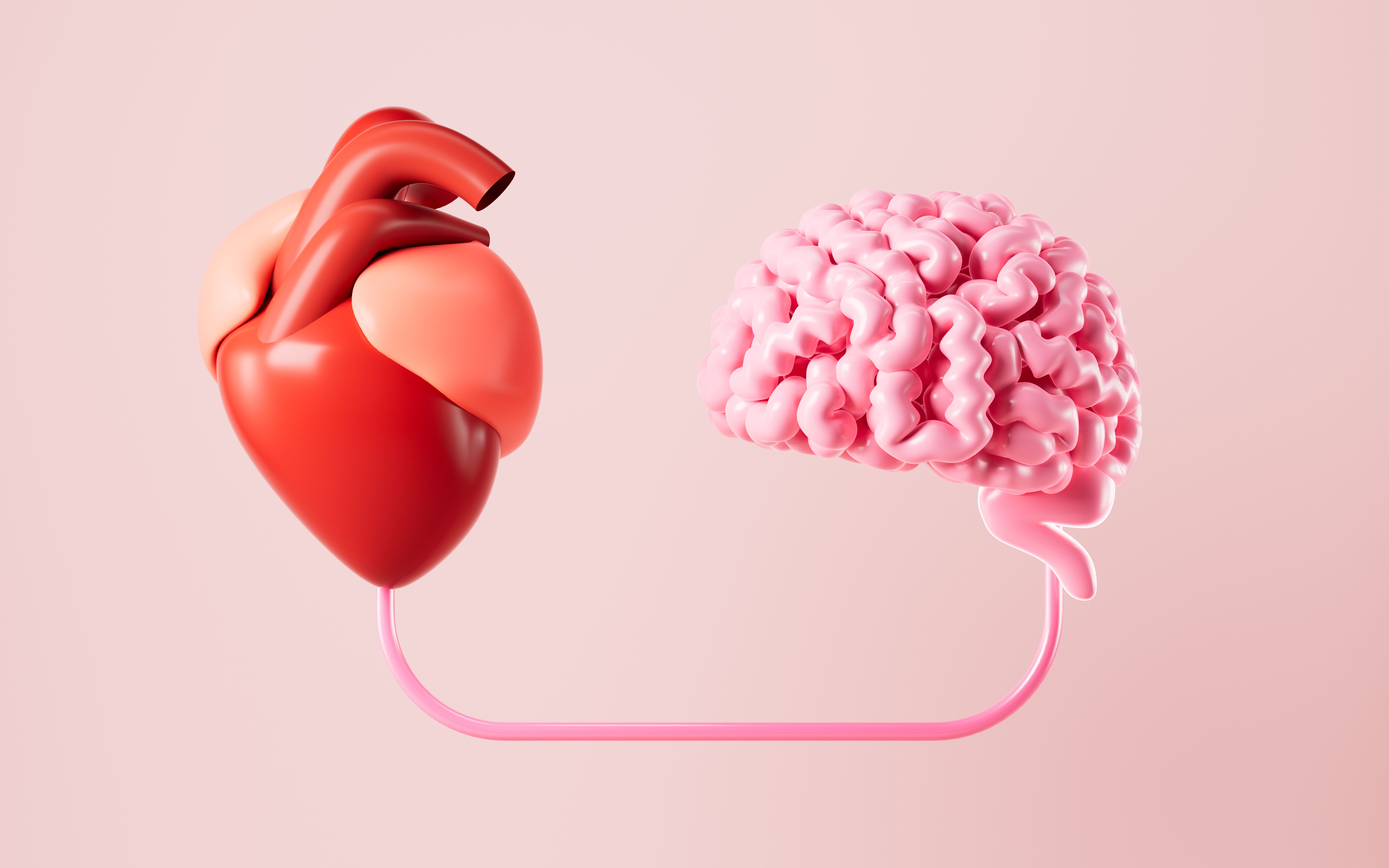 heart connection