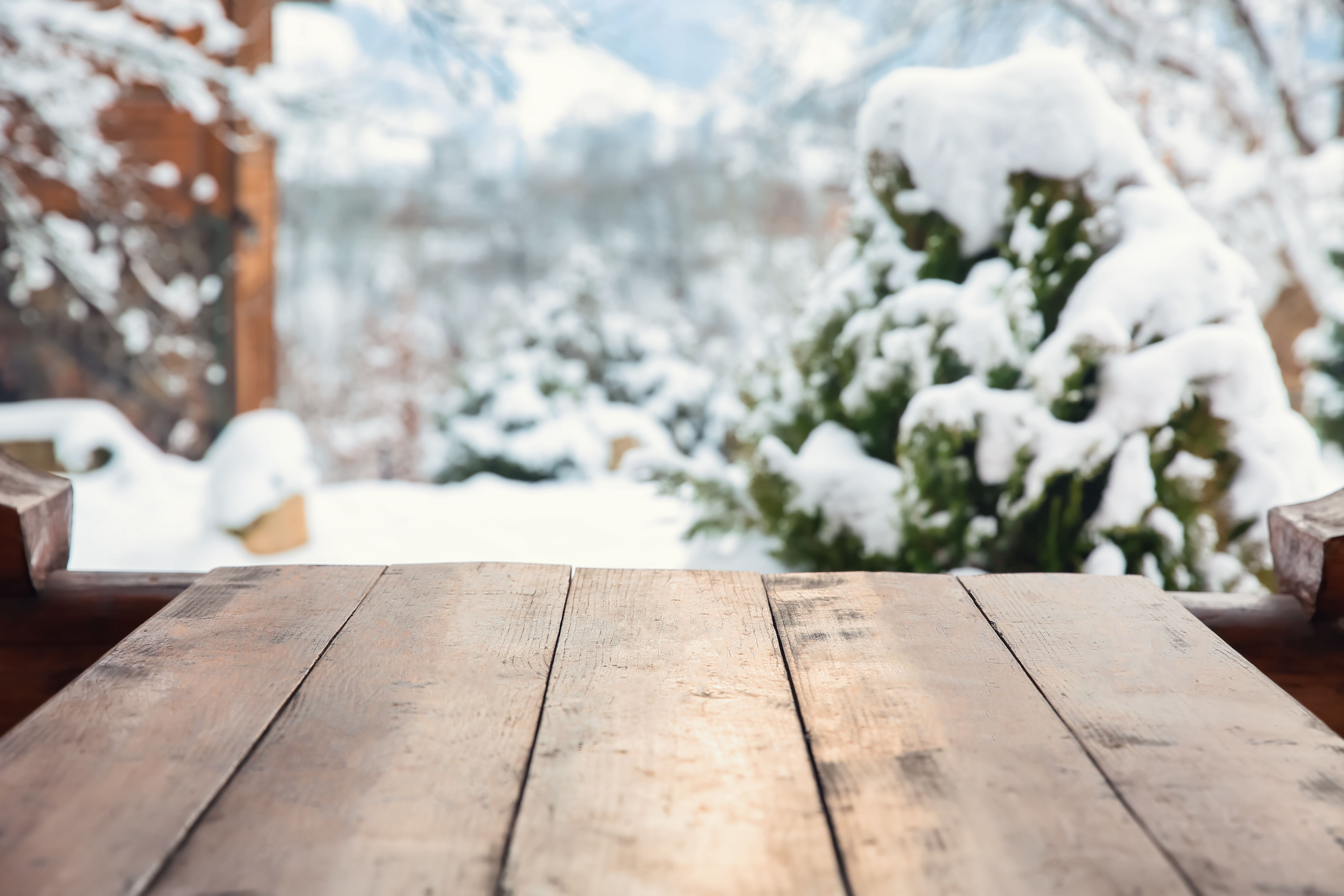 wood furniture winter