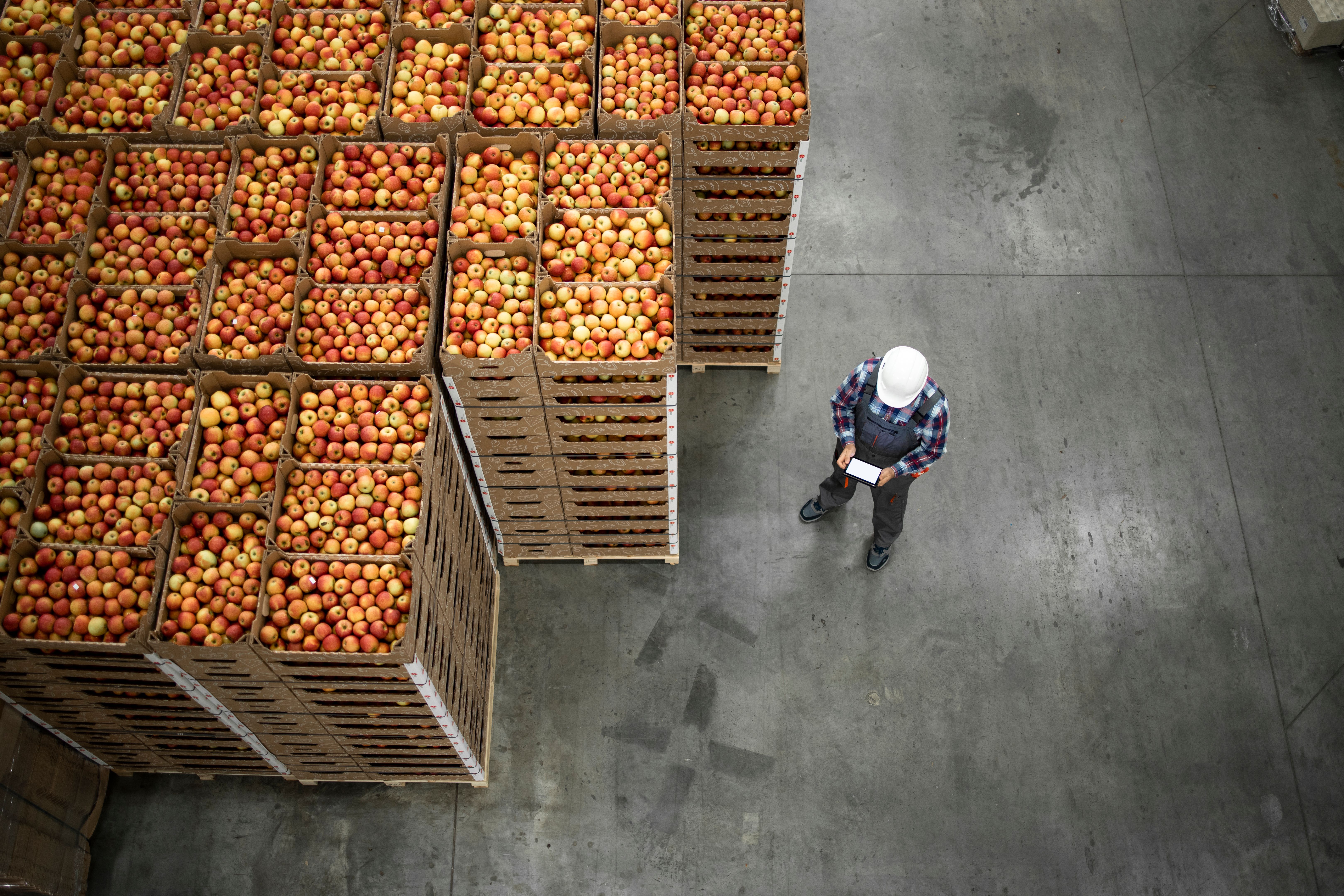 order processing