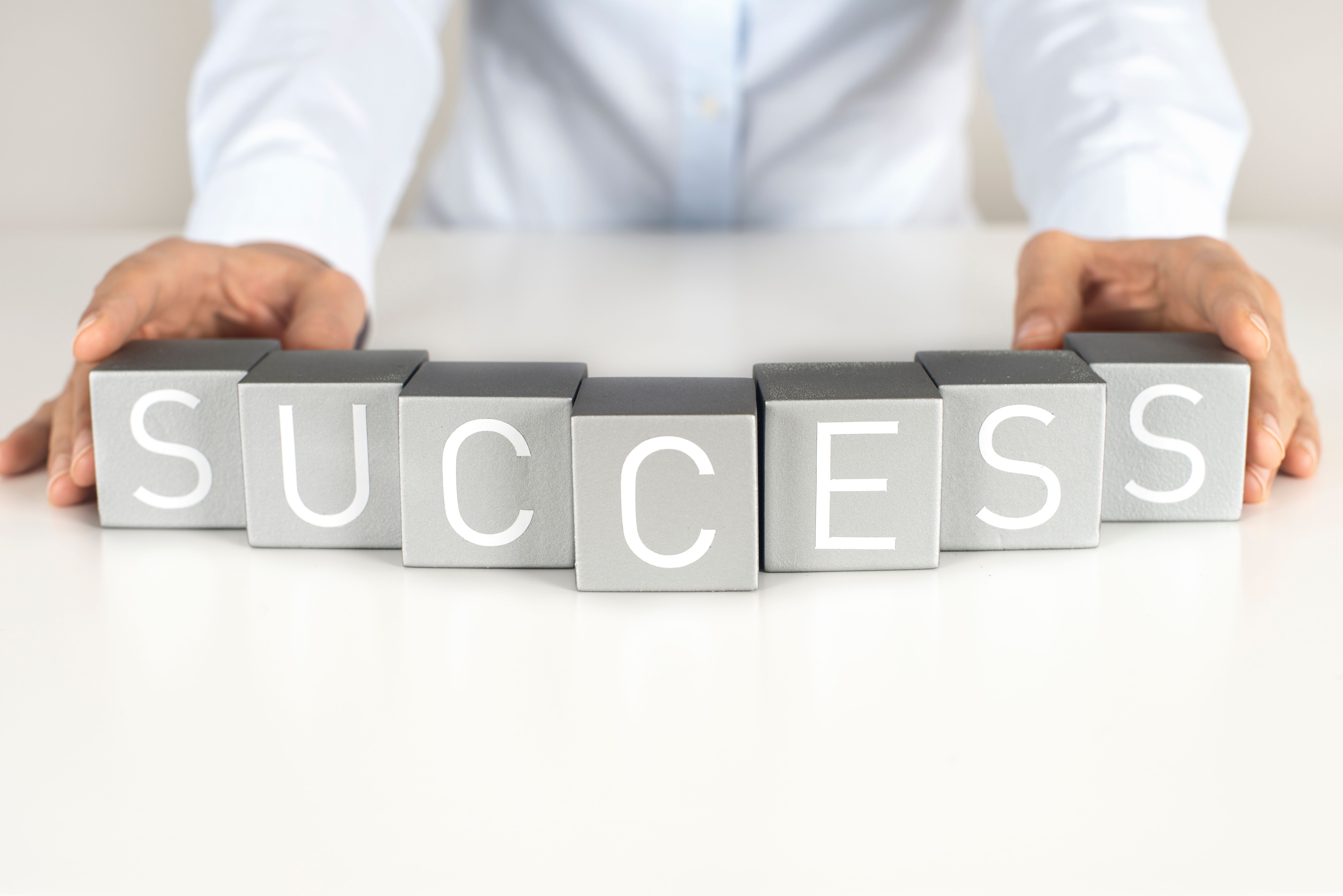 success cases companies