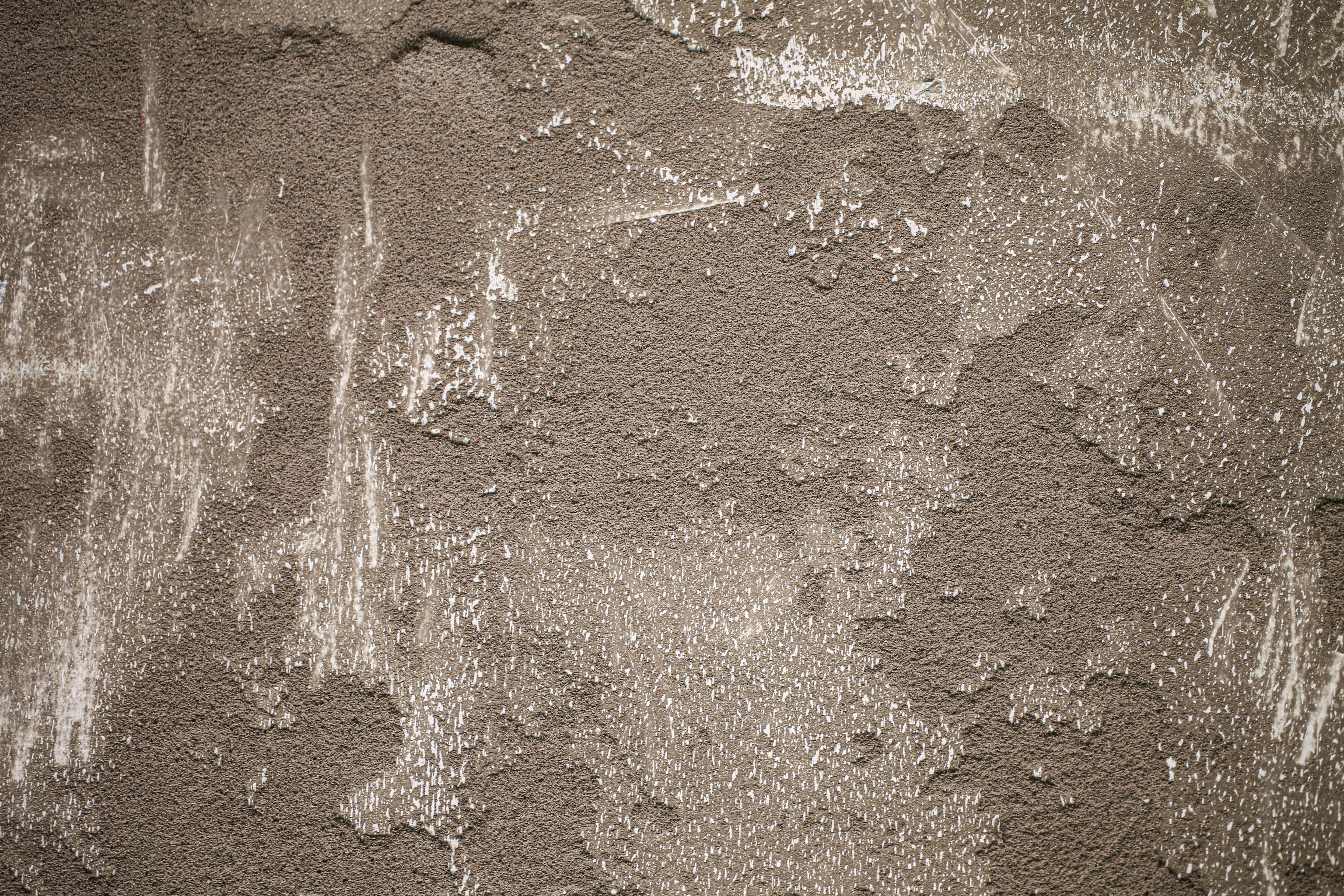 durable paint
