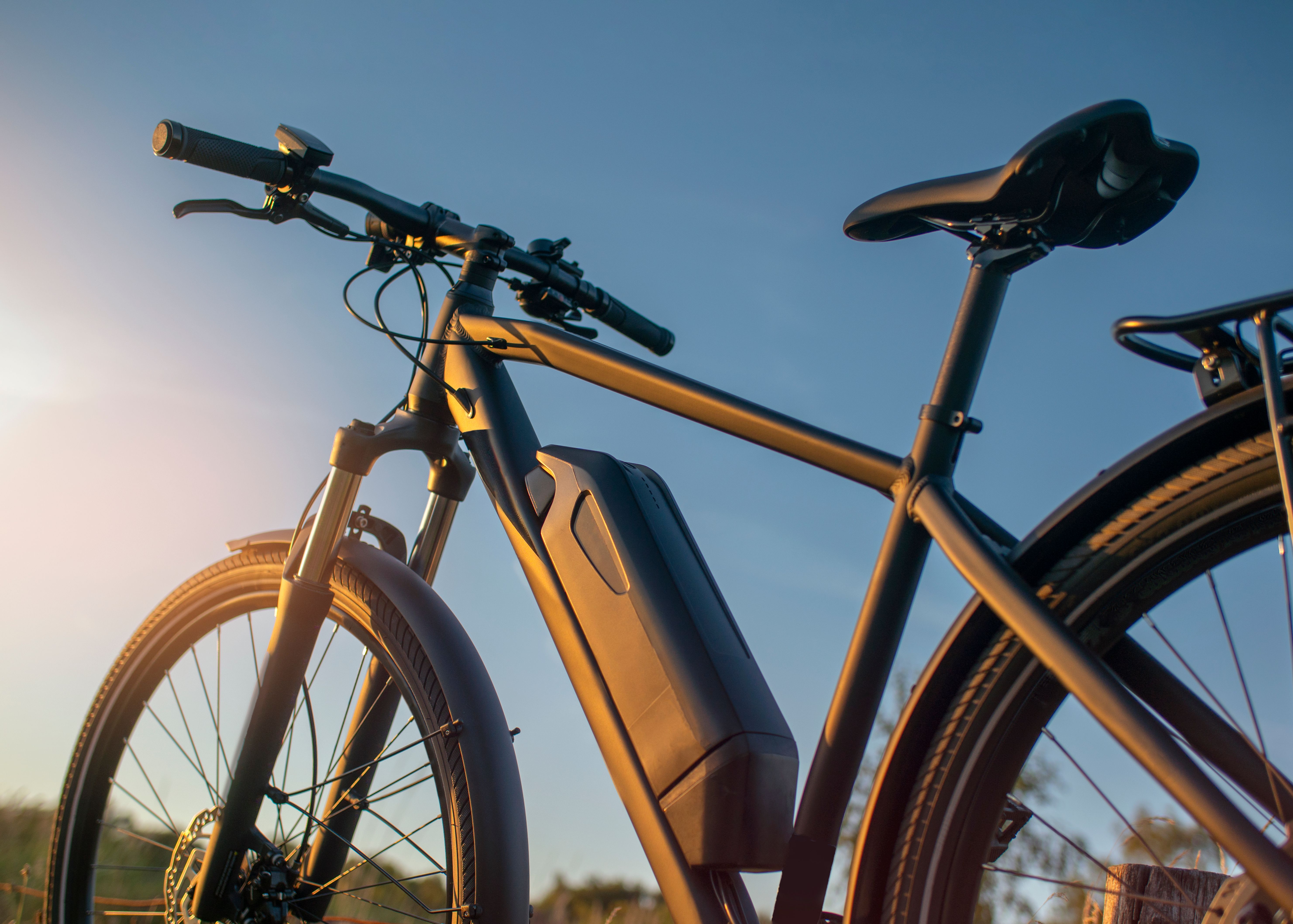 dual motor ebike