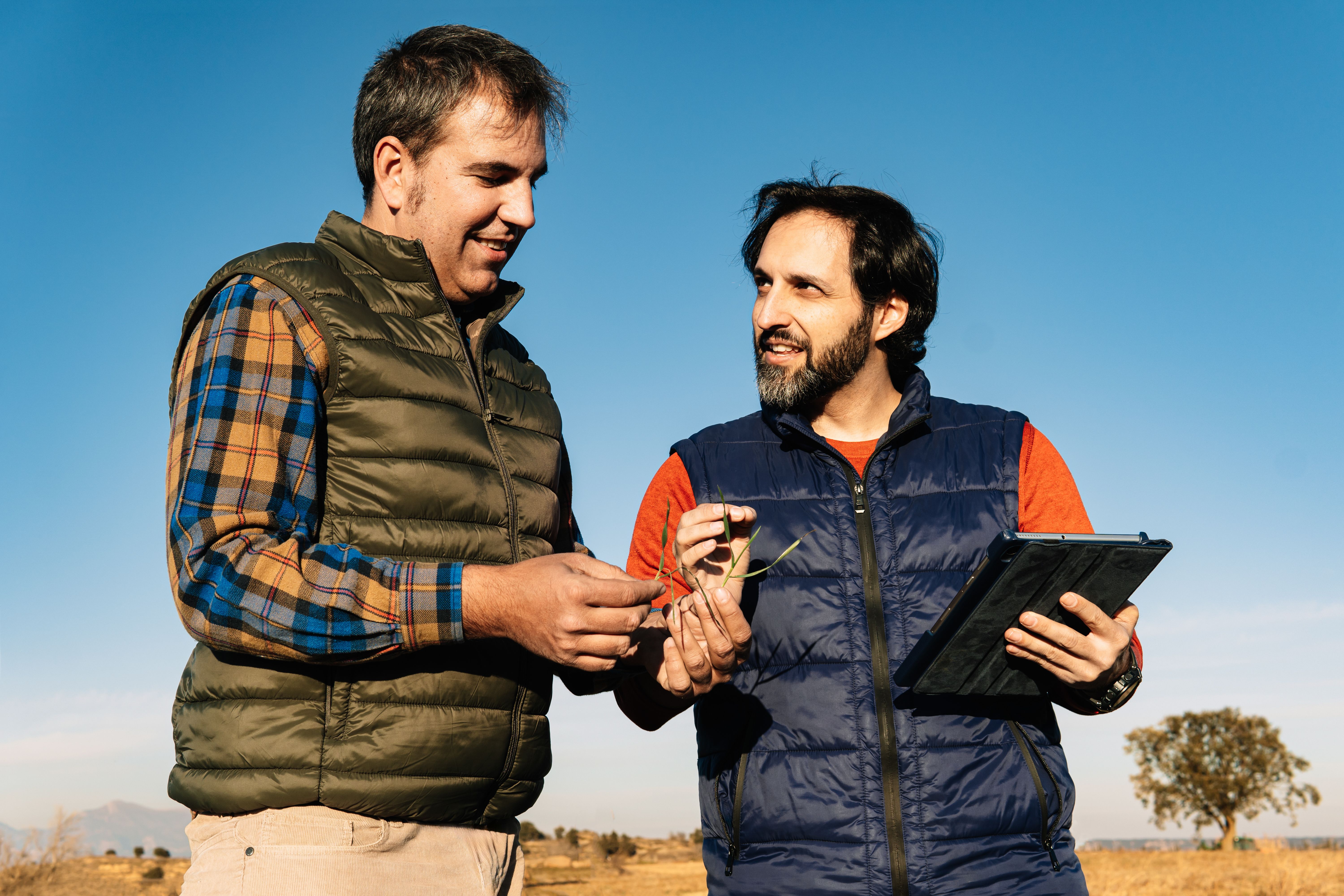 agriculture consultant