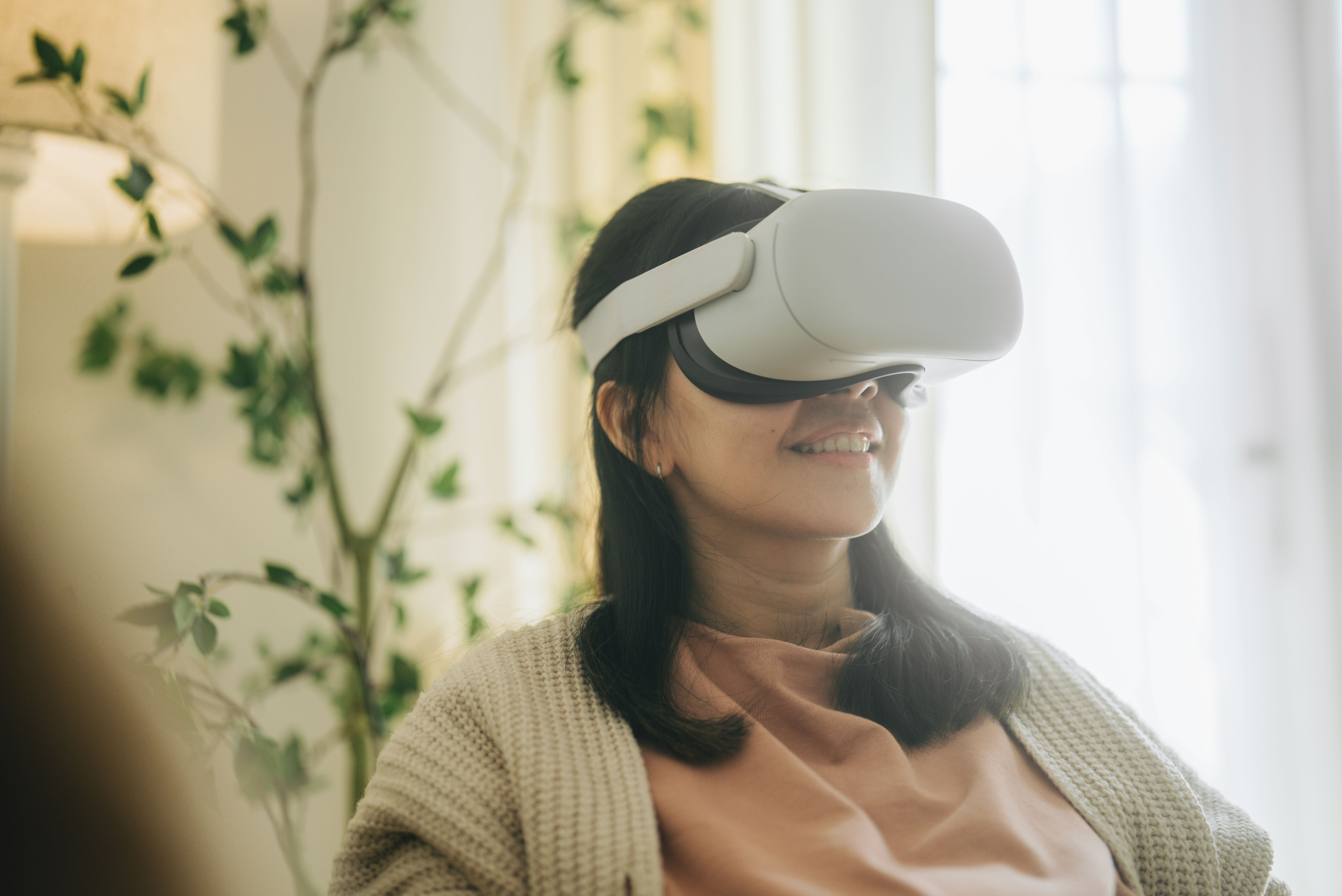 customizable vr experience