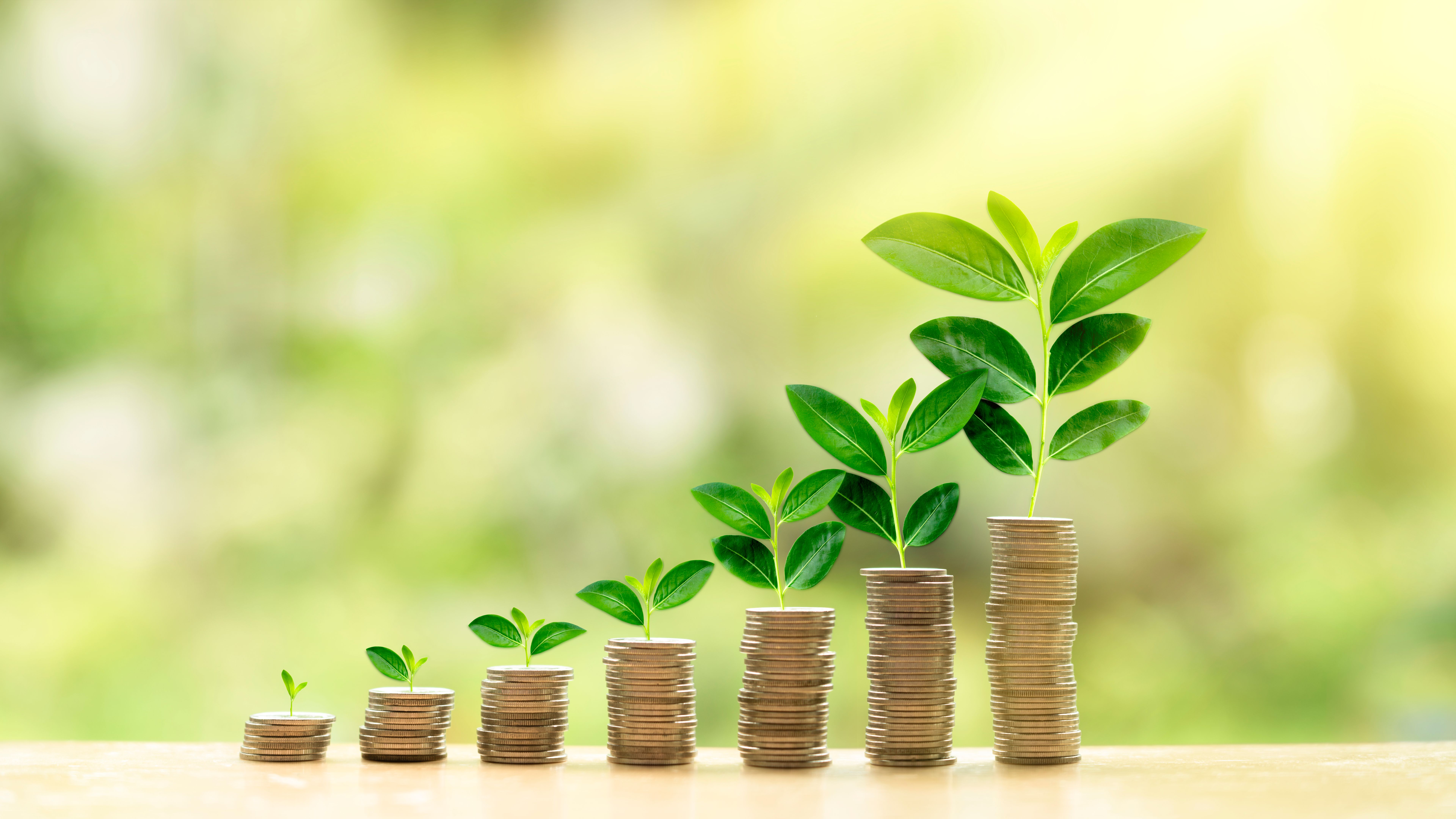 wealth building