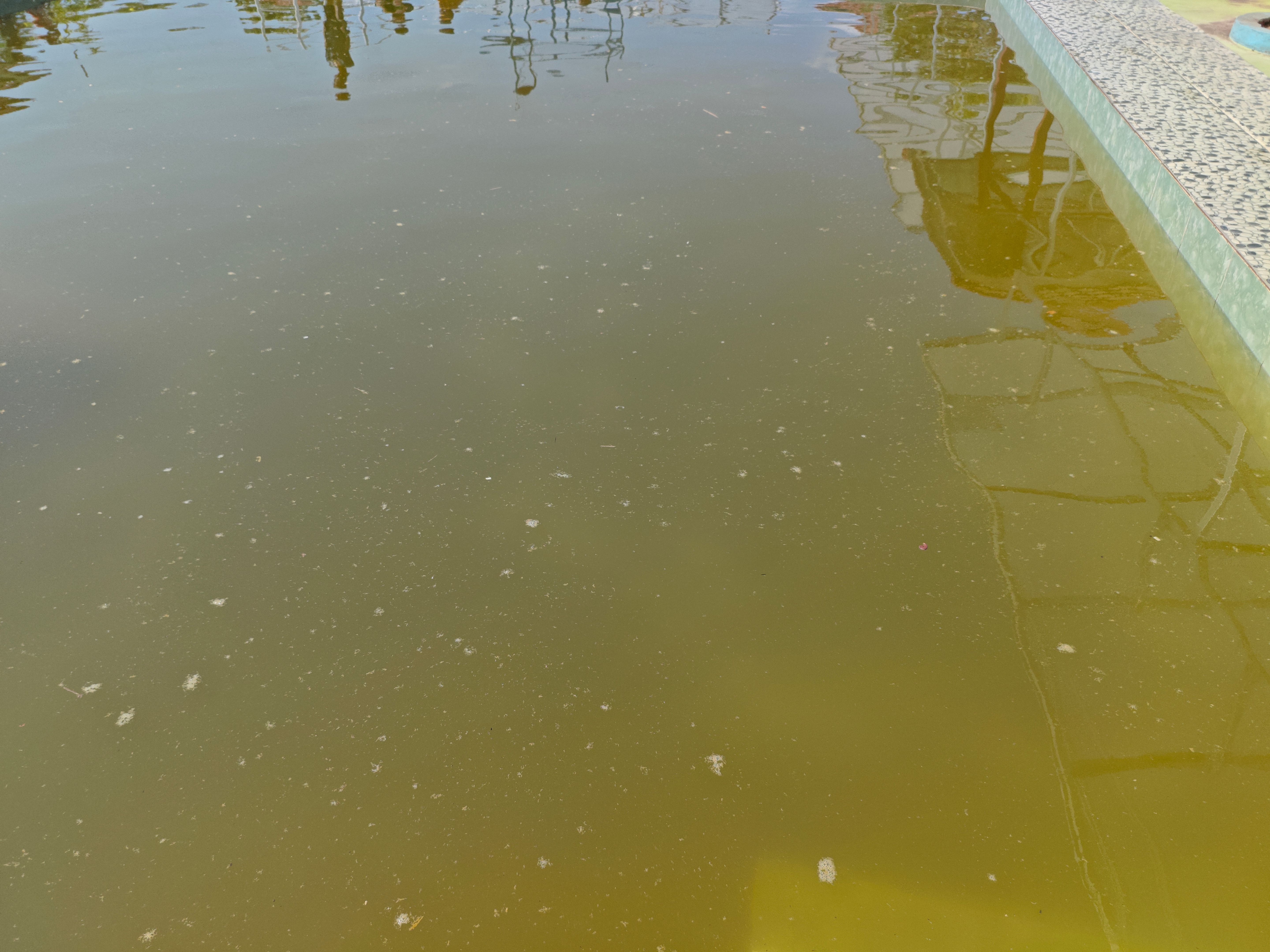 pool maintenance issues