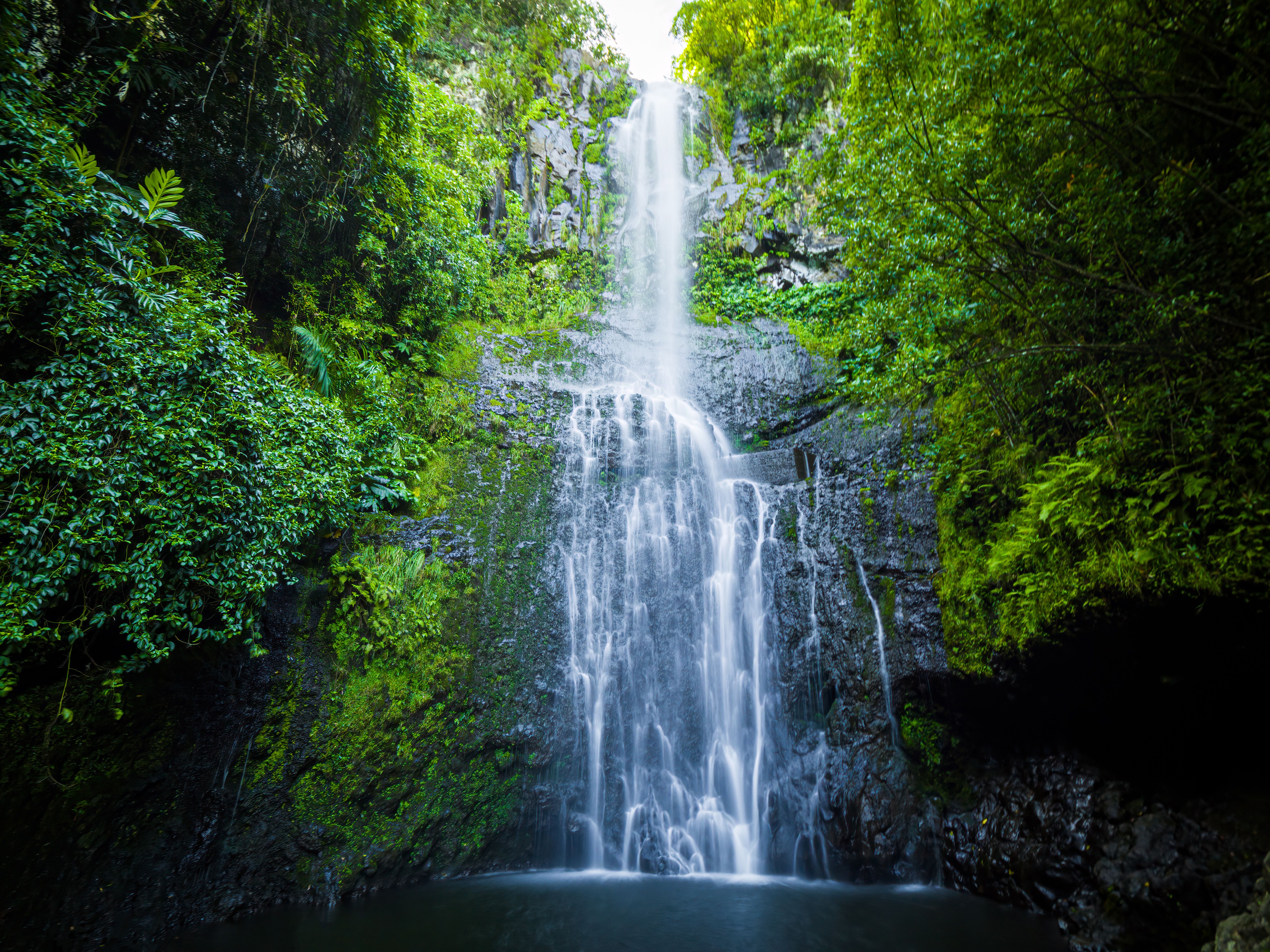 maui waterfall