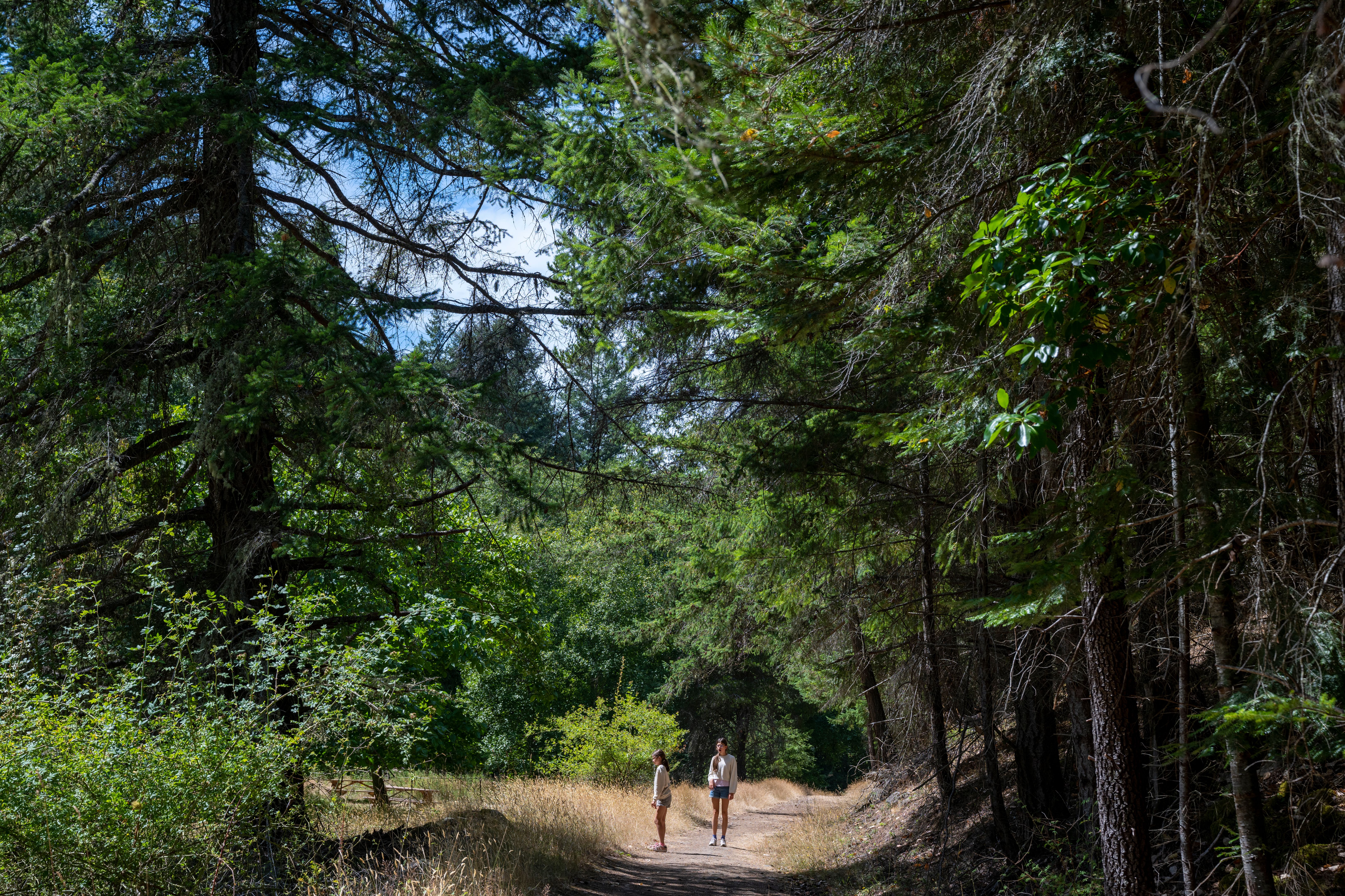 scenic walking trail