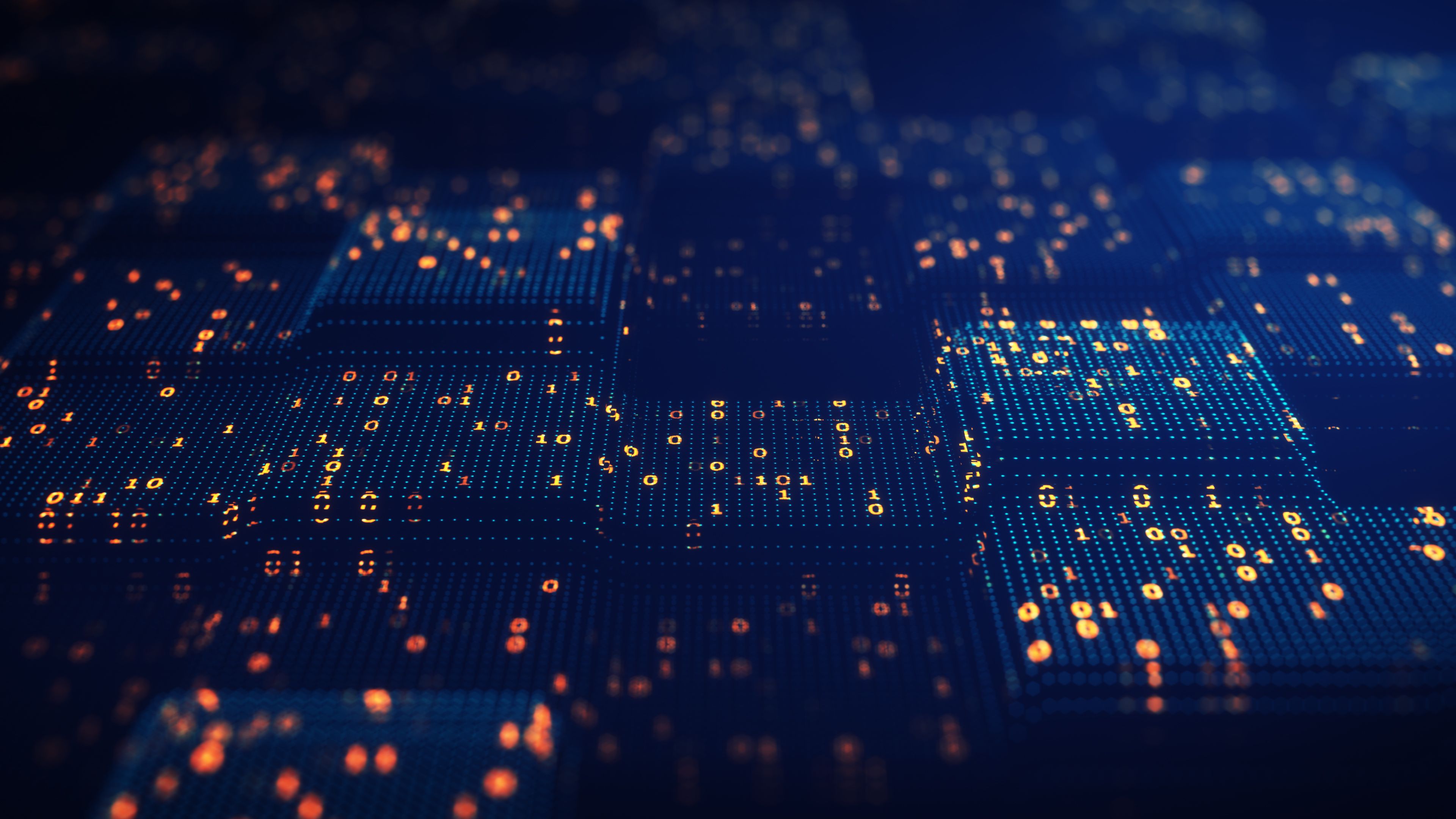 blockchain network