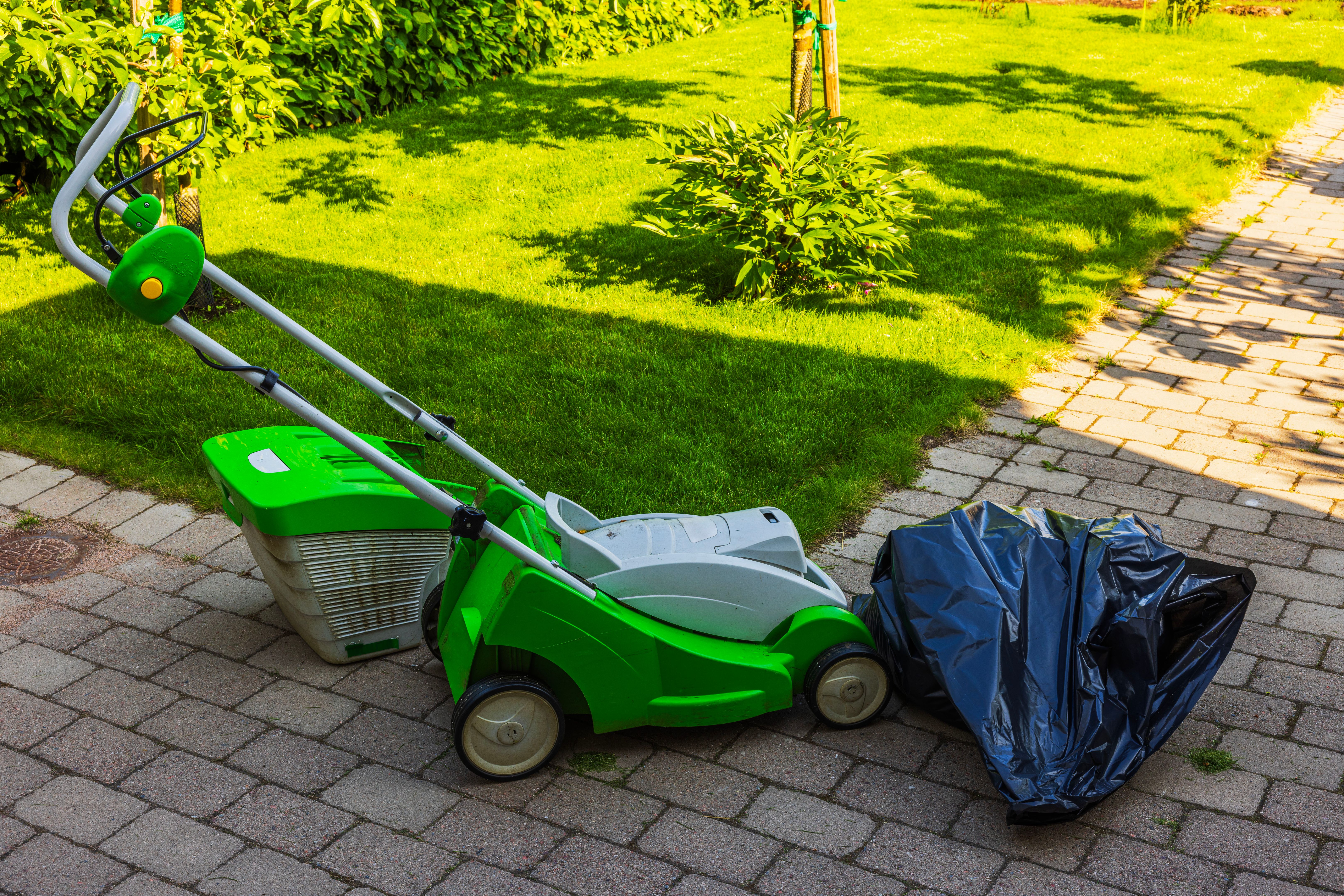 summer landscaping