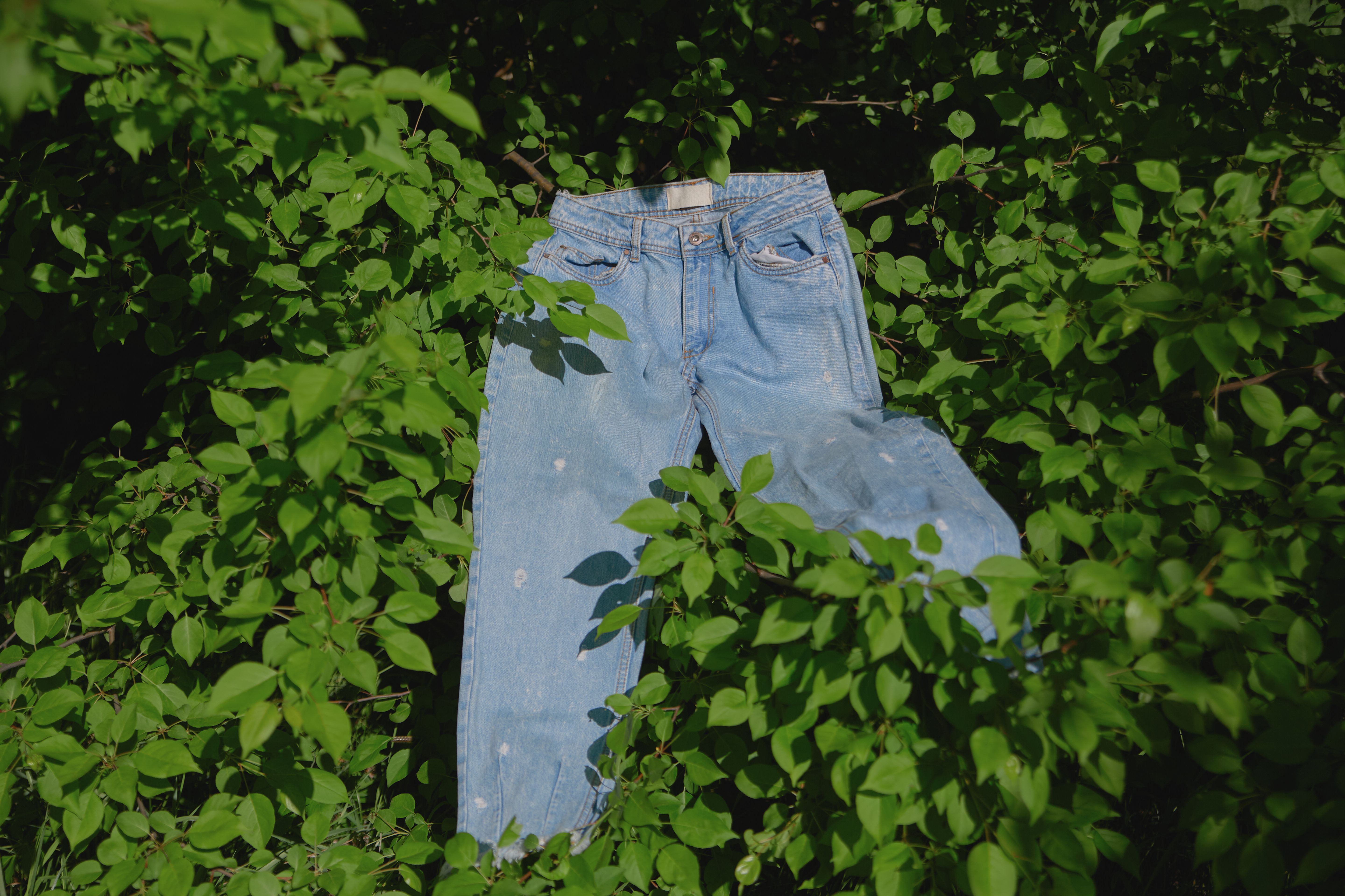 sustainable denim