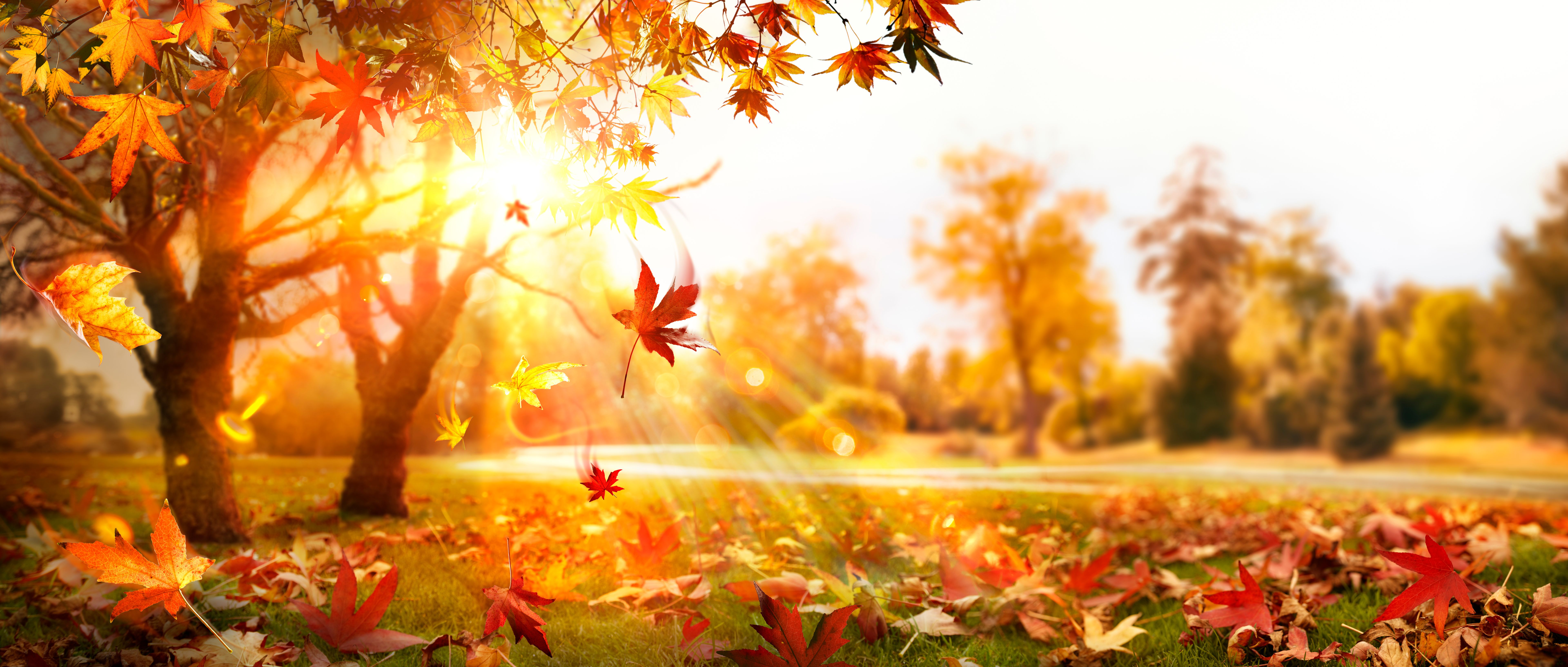 October theory a Guide to Changing Your Life in the Next 3 Months