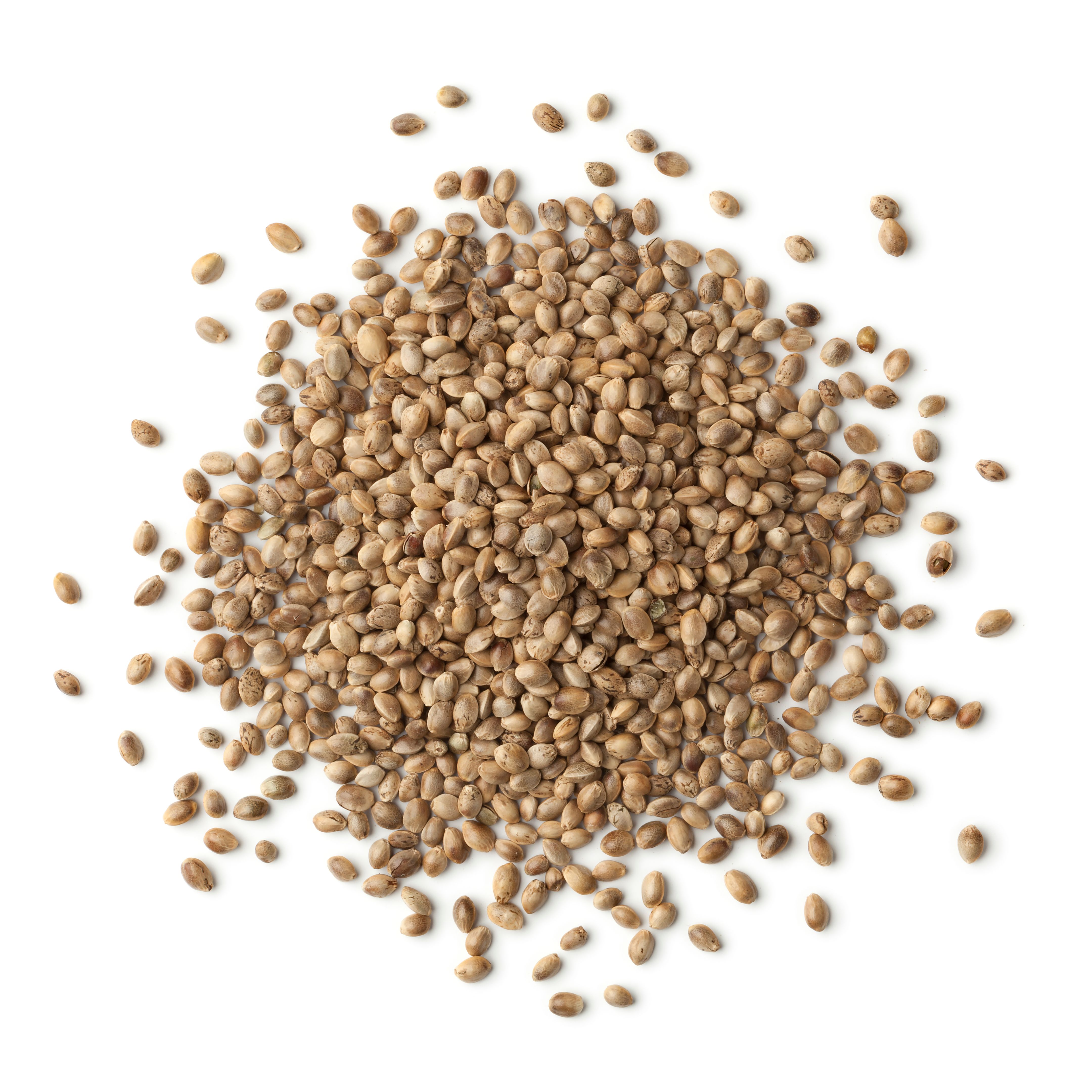 hemp seeds