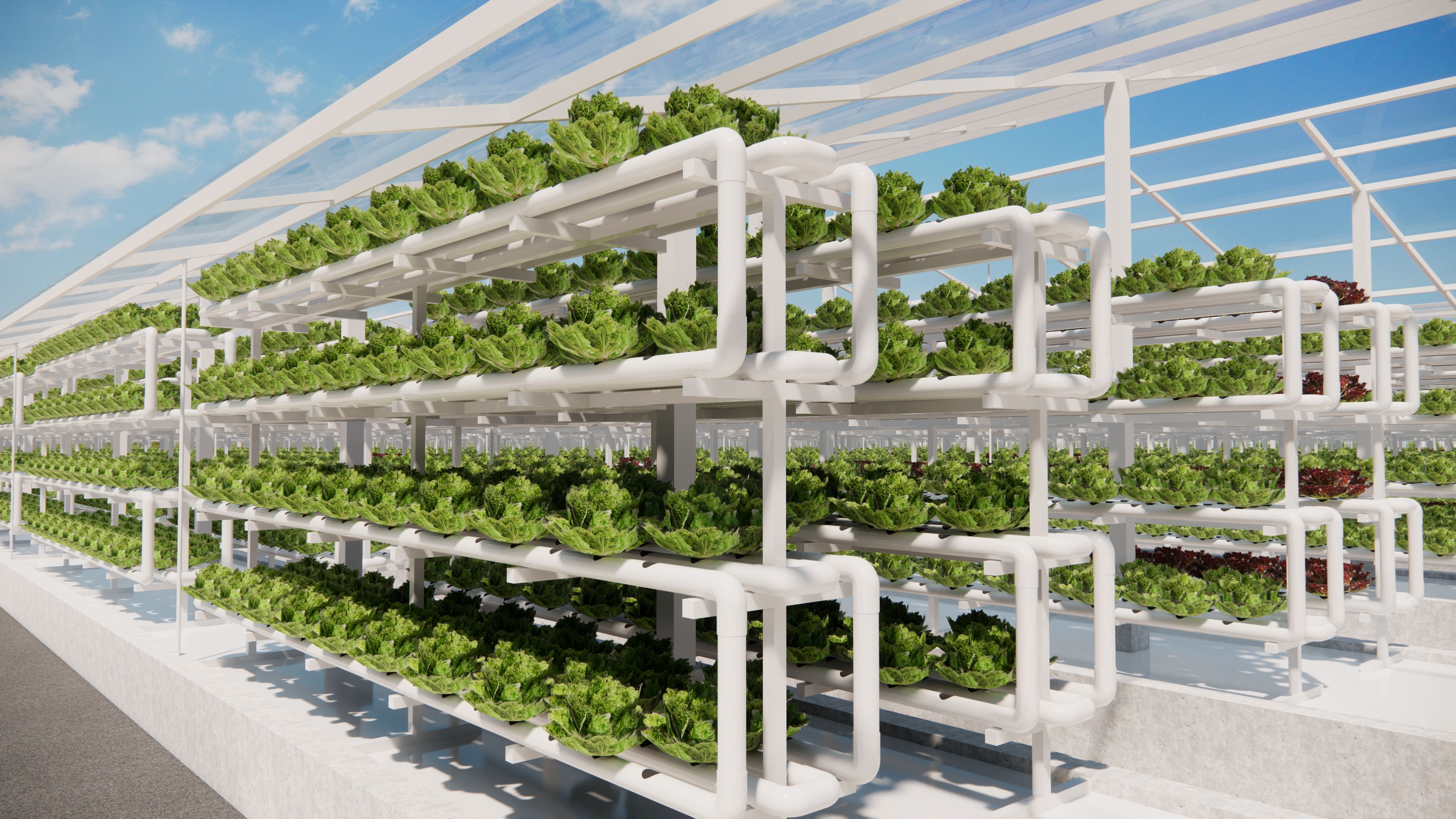 hydroponics farm