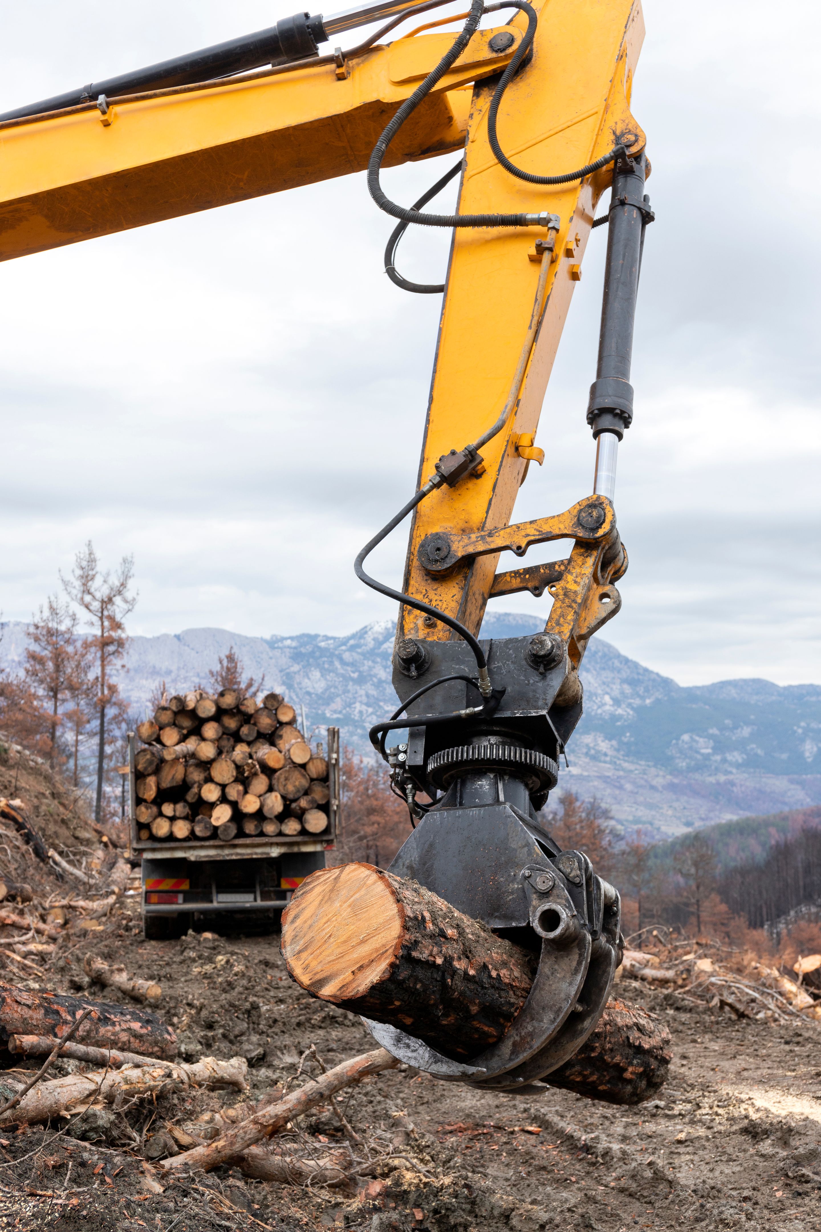 forestry equipment