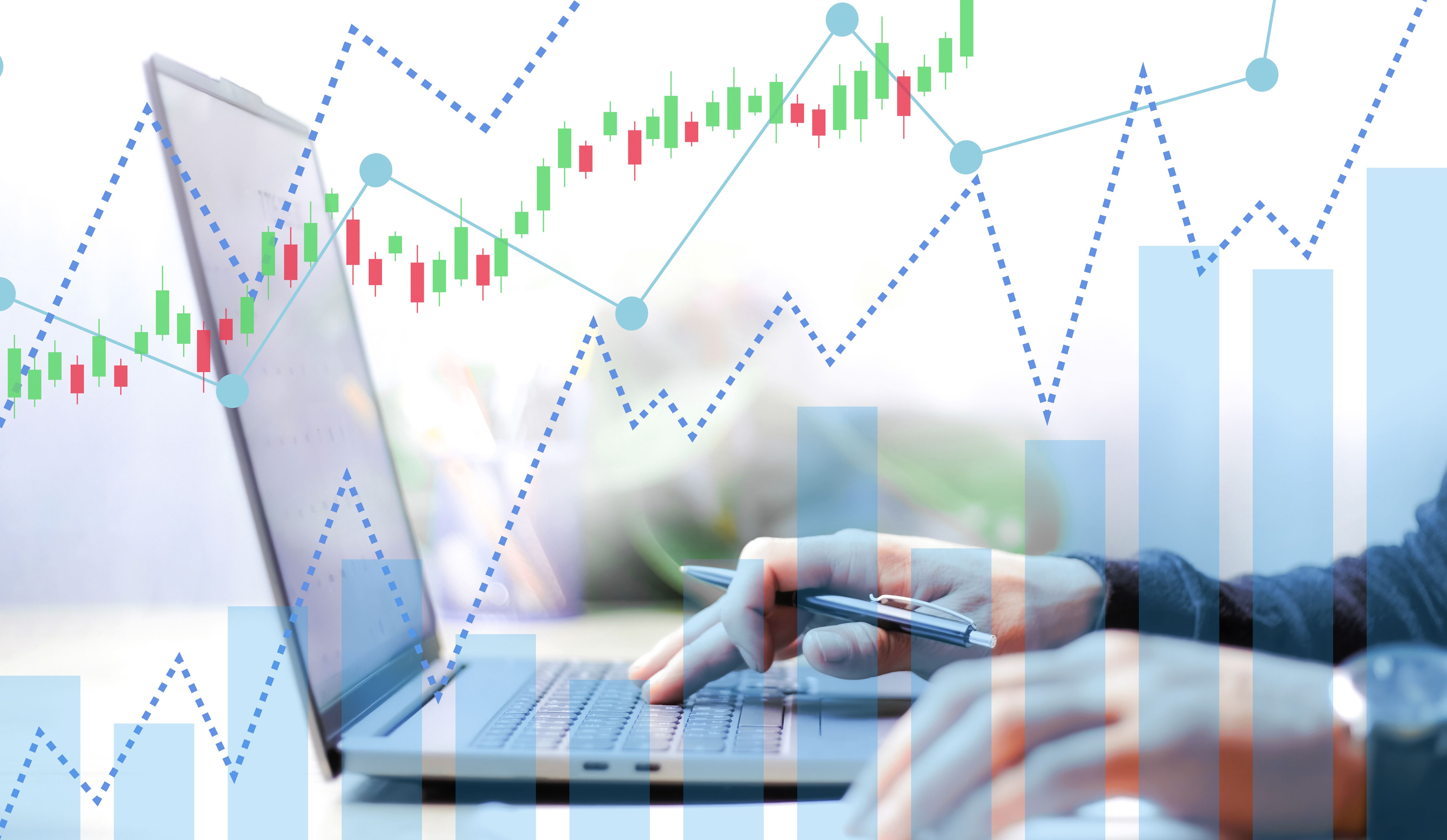 conductor profesional