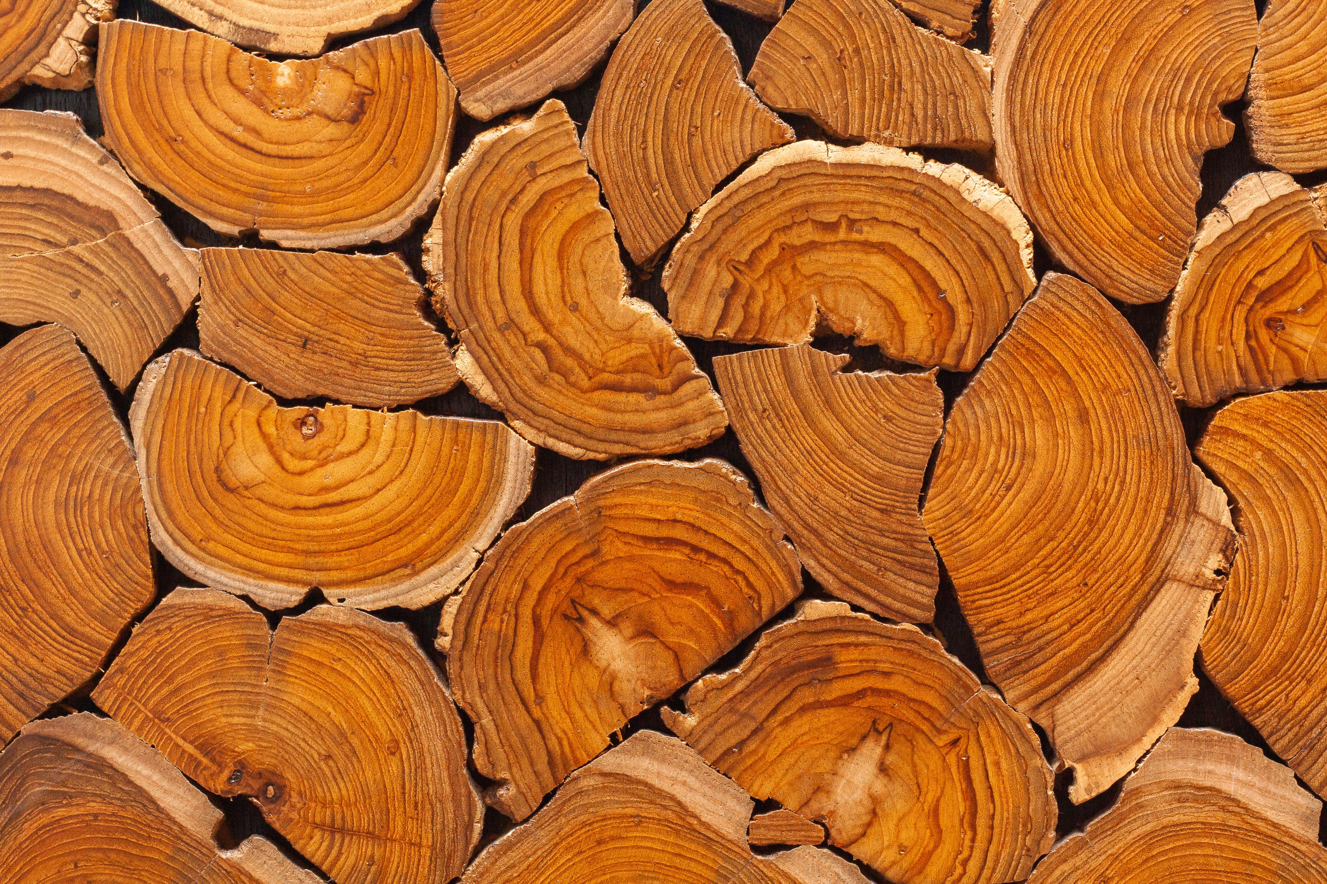teak wood