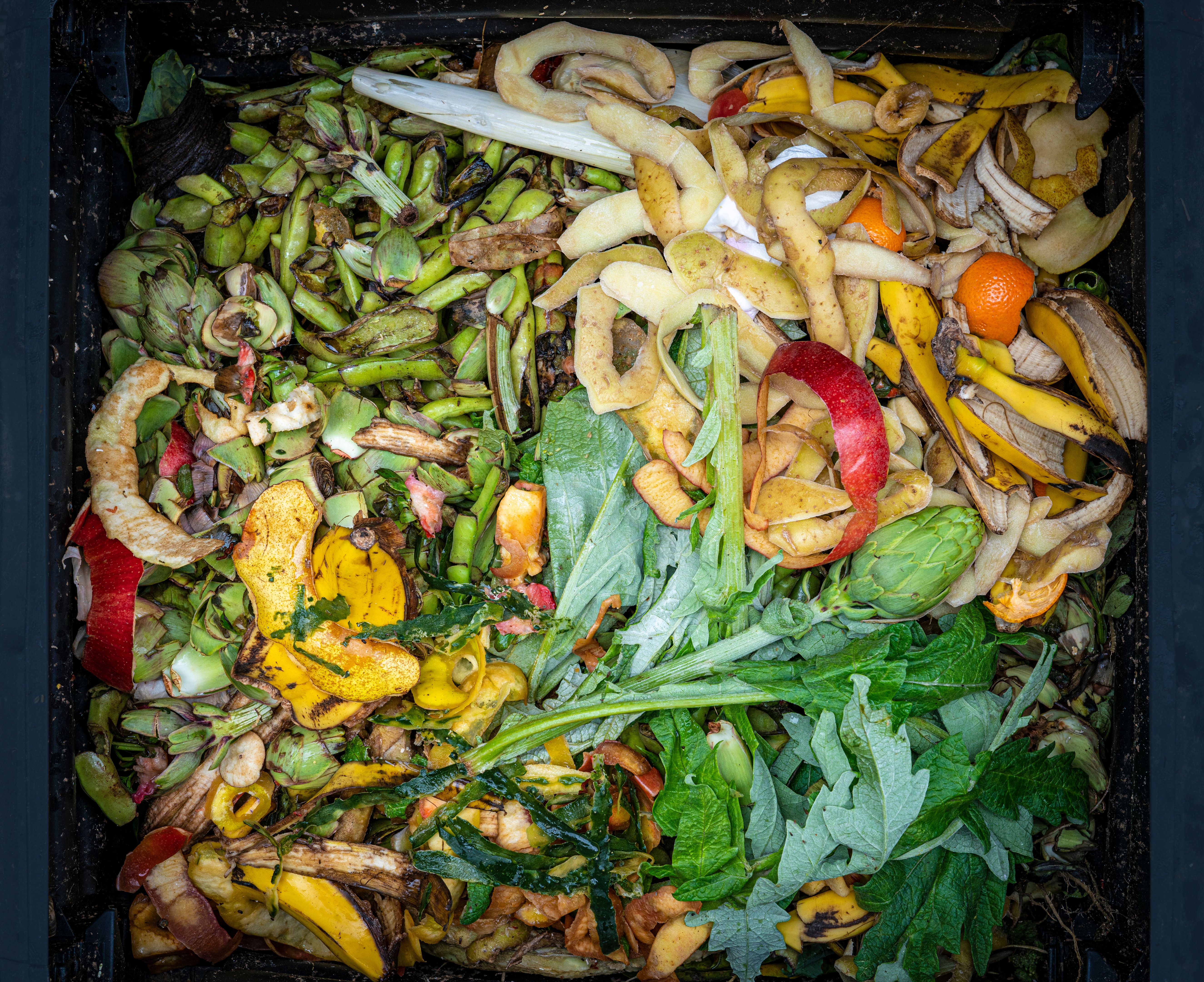 worm composter
