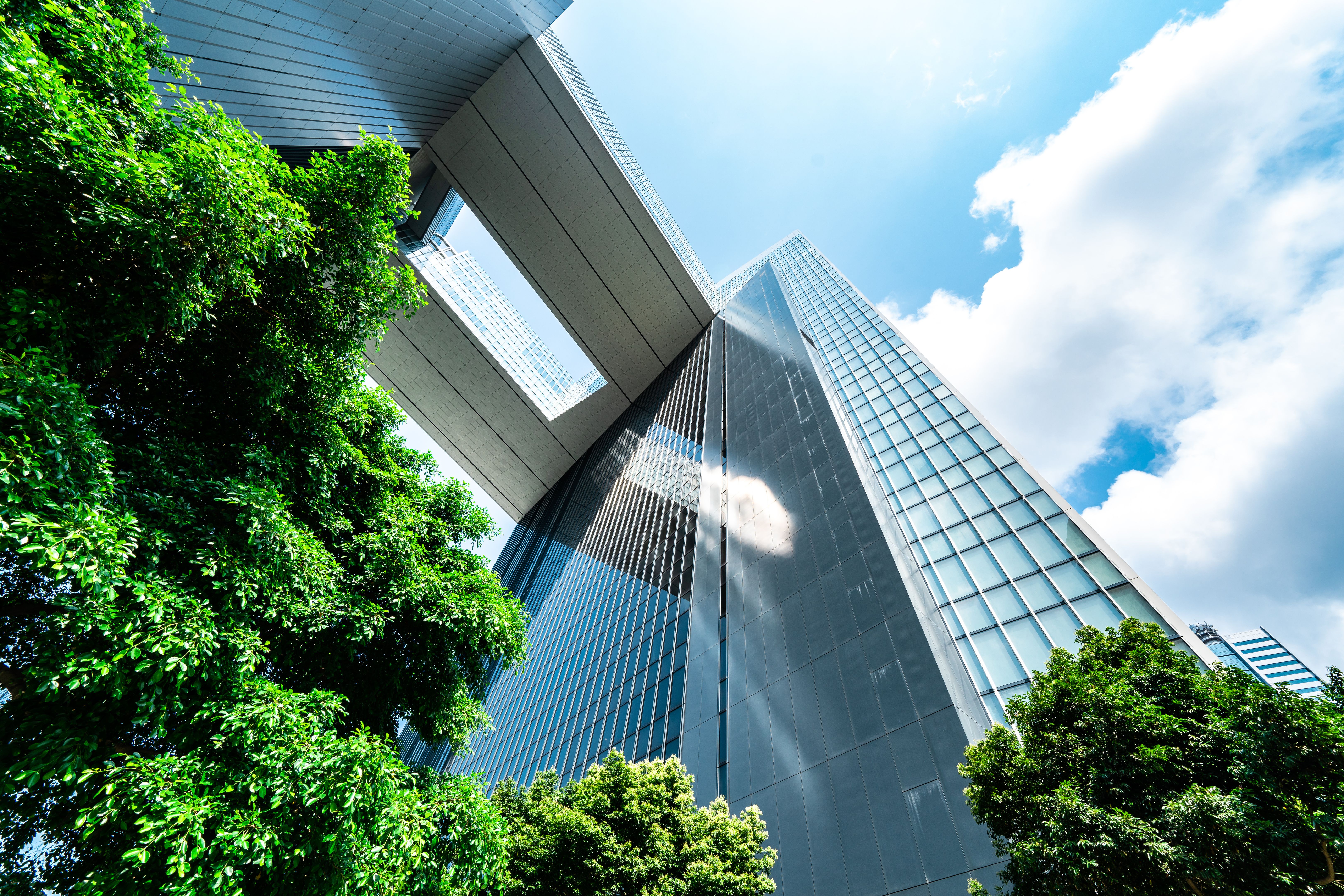 environmental regulations