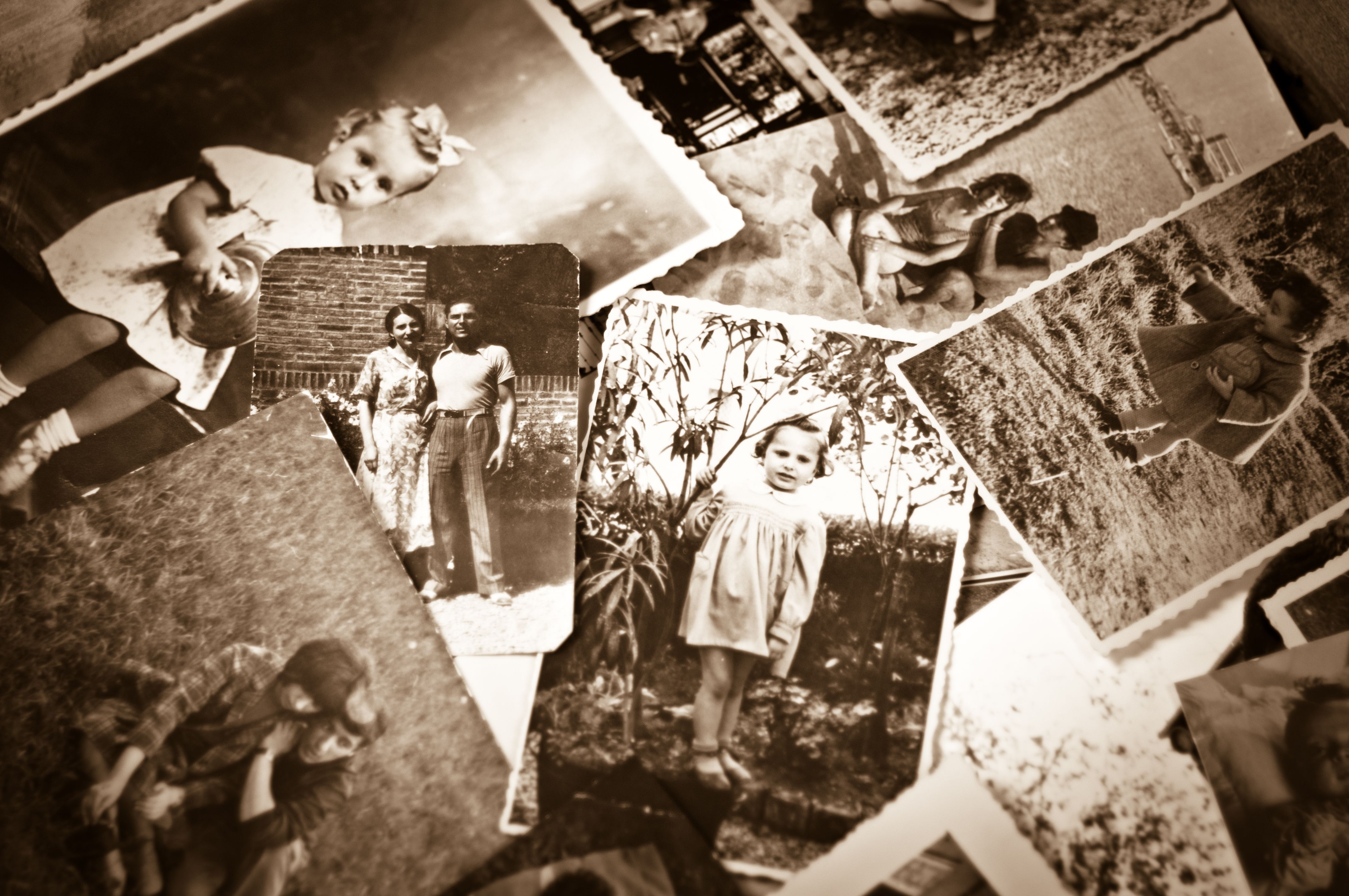 family memories