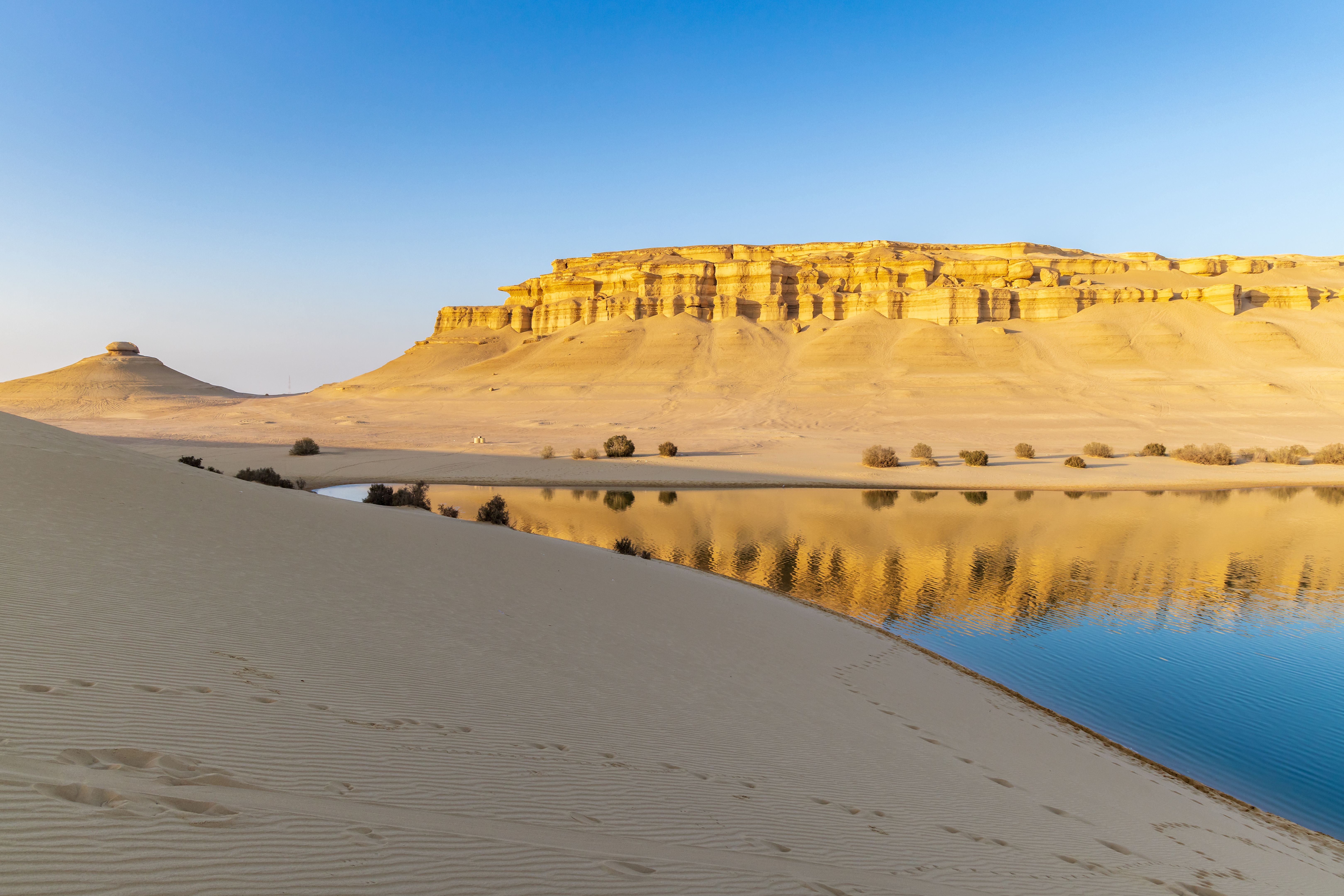 fayoum oasis
