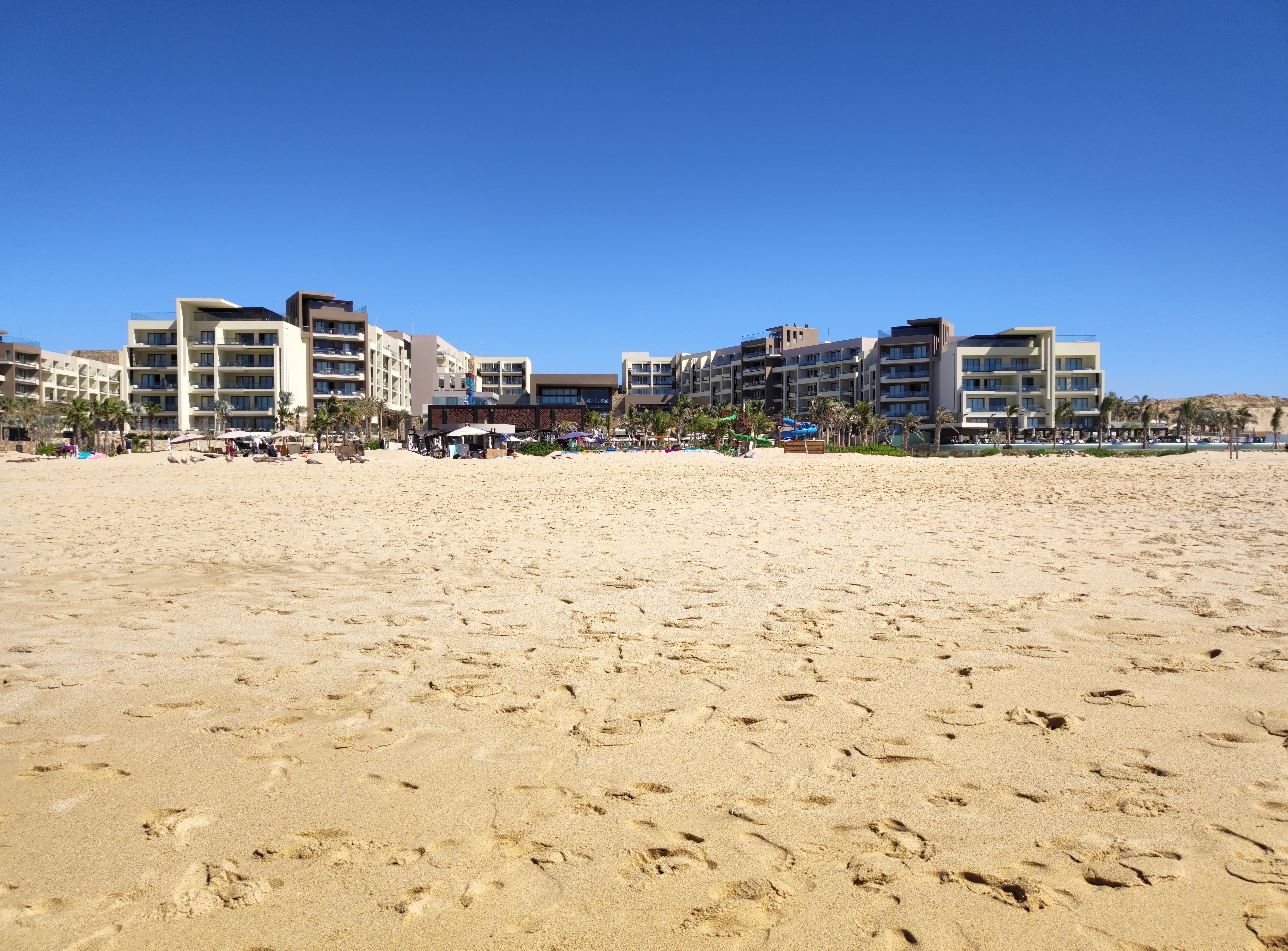 Cabo San Lucas adventure