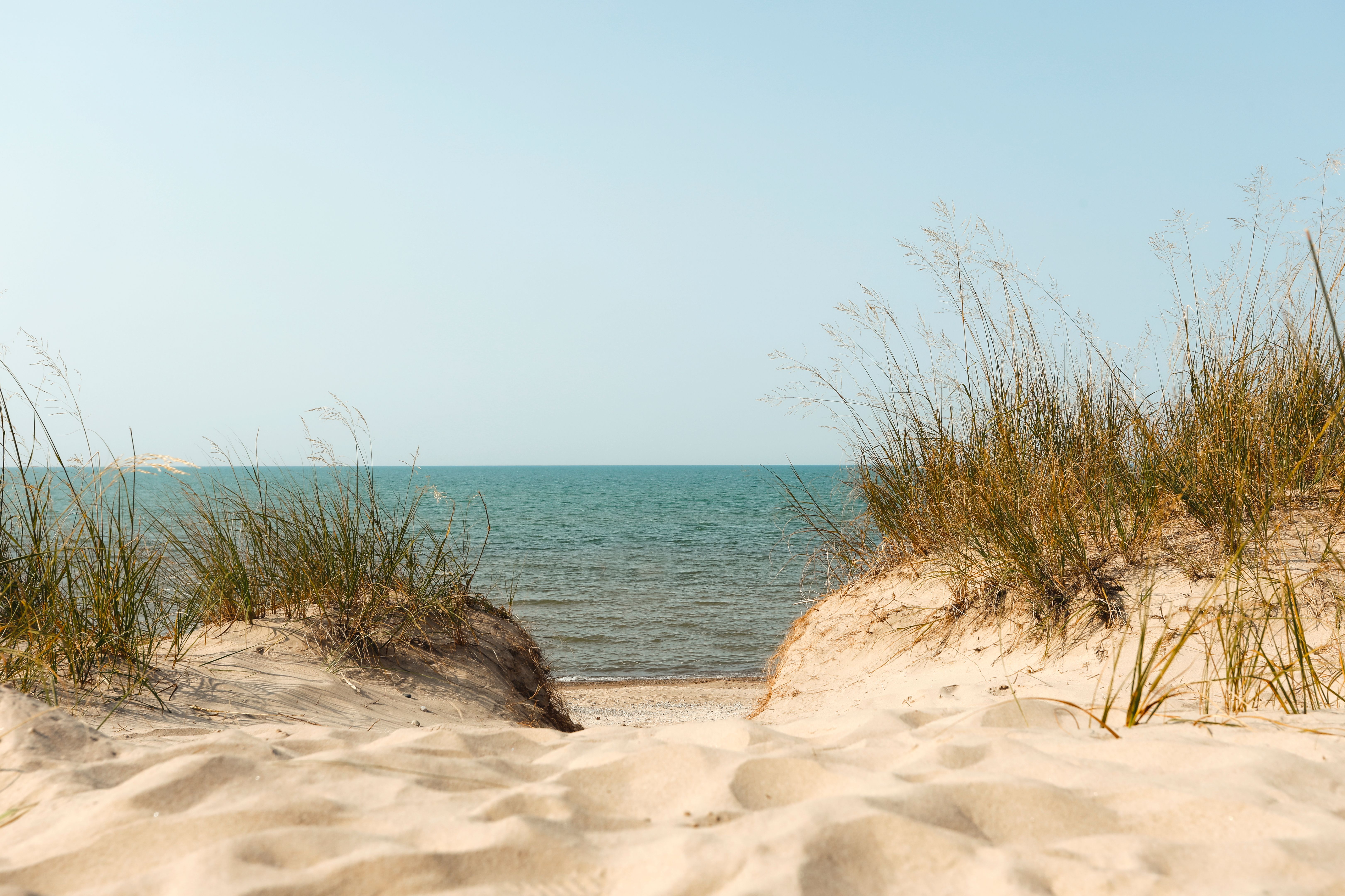 Sand Dunes at the Beach