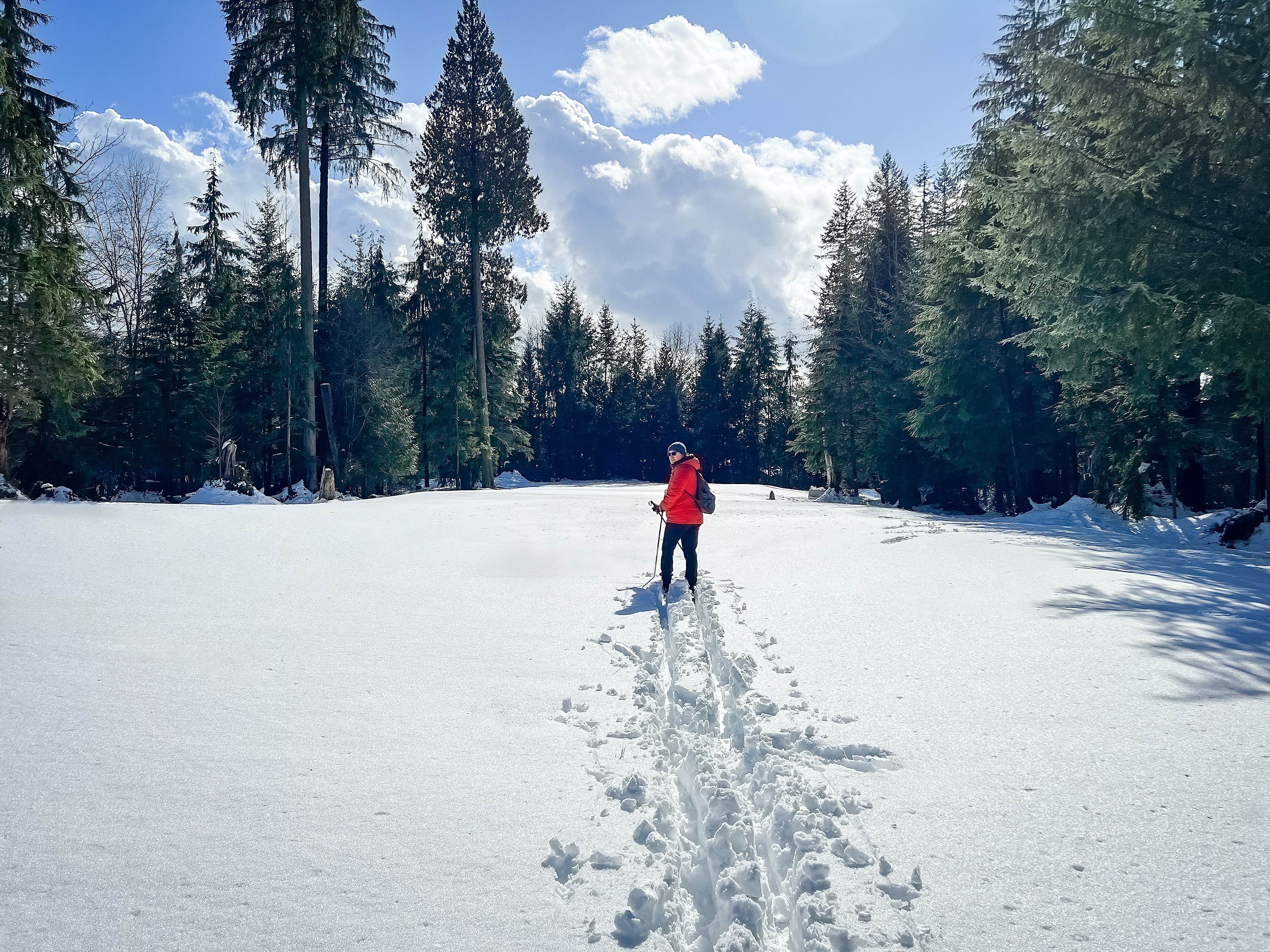 cross country skiing