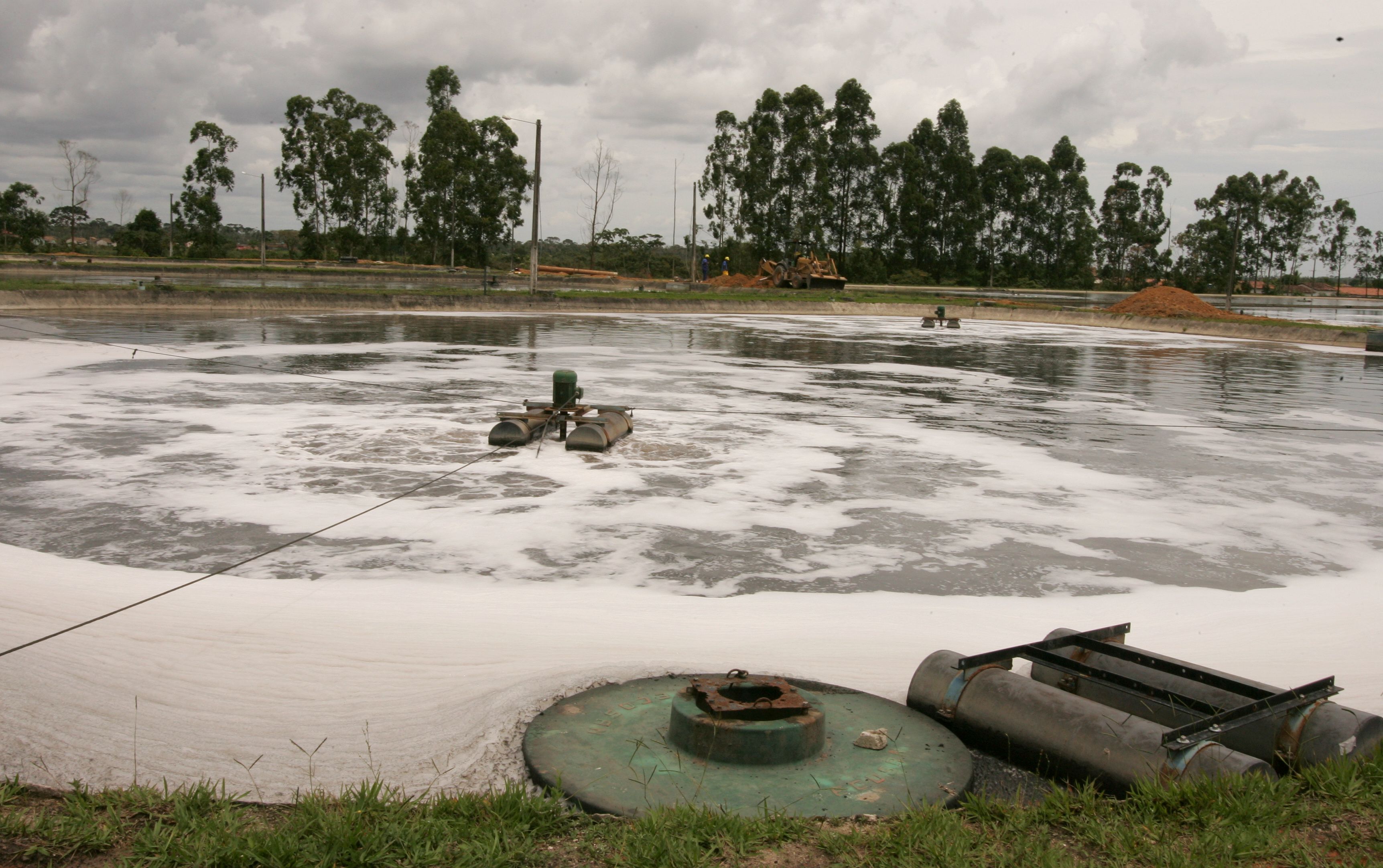 forrageira autopropelida