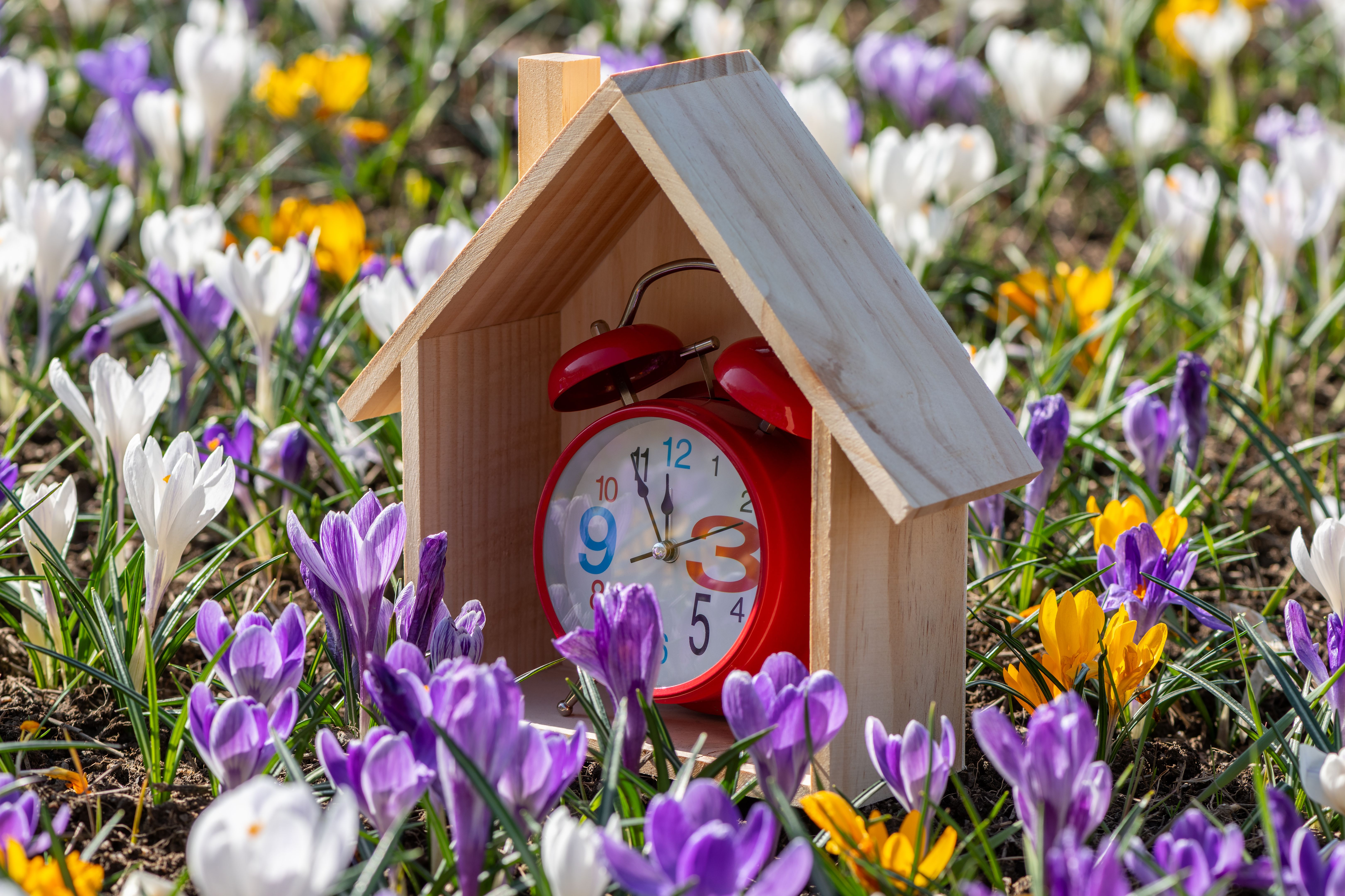 spring home security