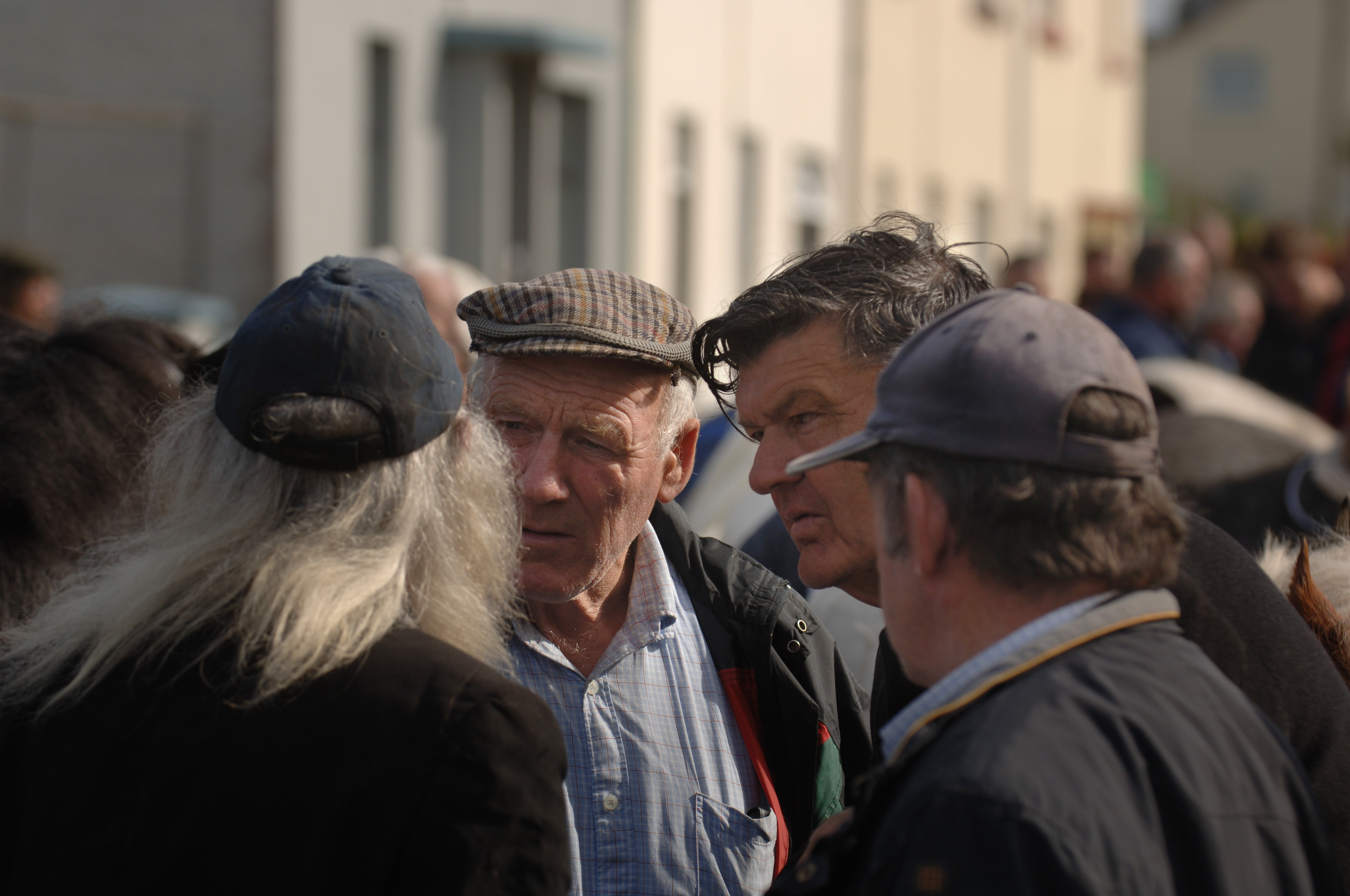 Horse Traders Horse Traders